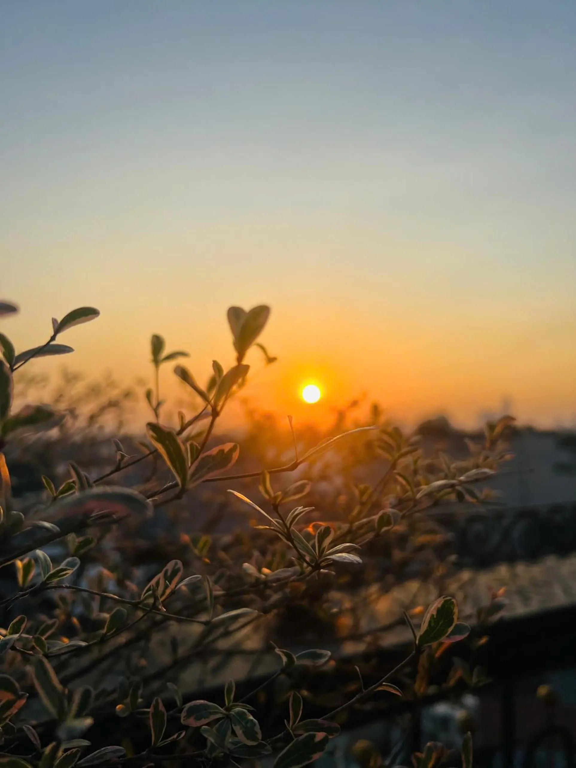 Sunset in Hanoi Plaza Suite Hotel & Spa