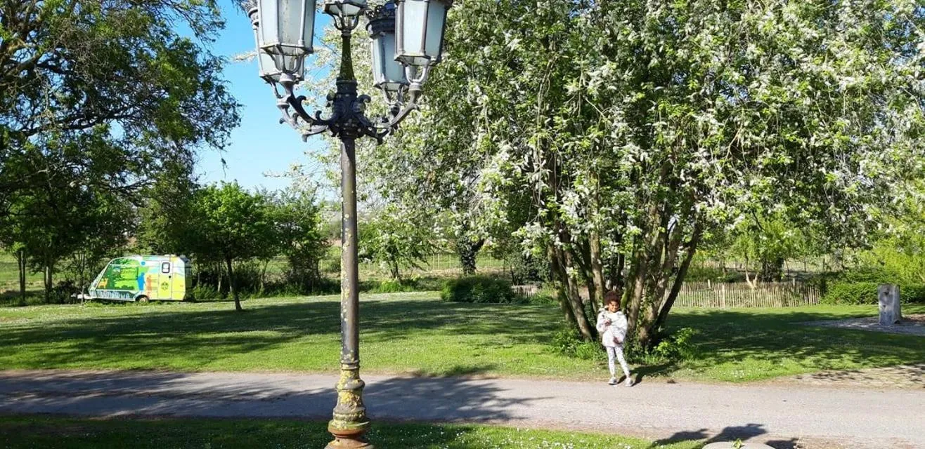 Garden in B&B 't Zwaluwnest