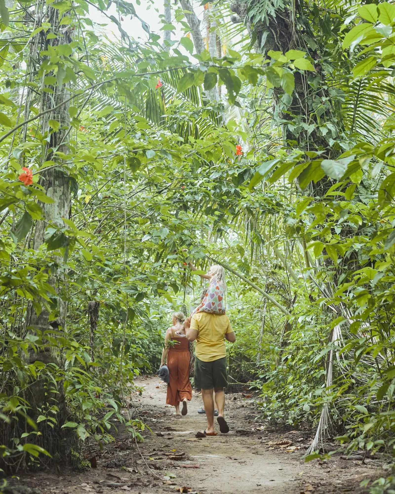 Garden in Shawandha Lodge