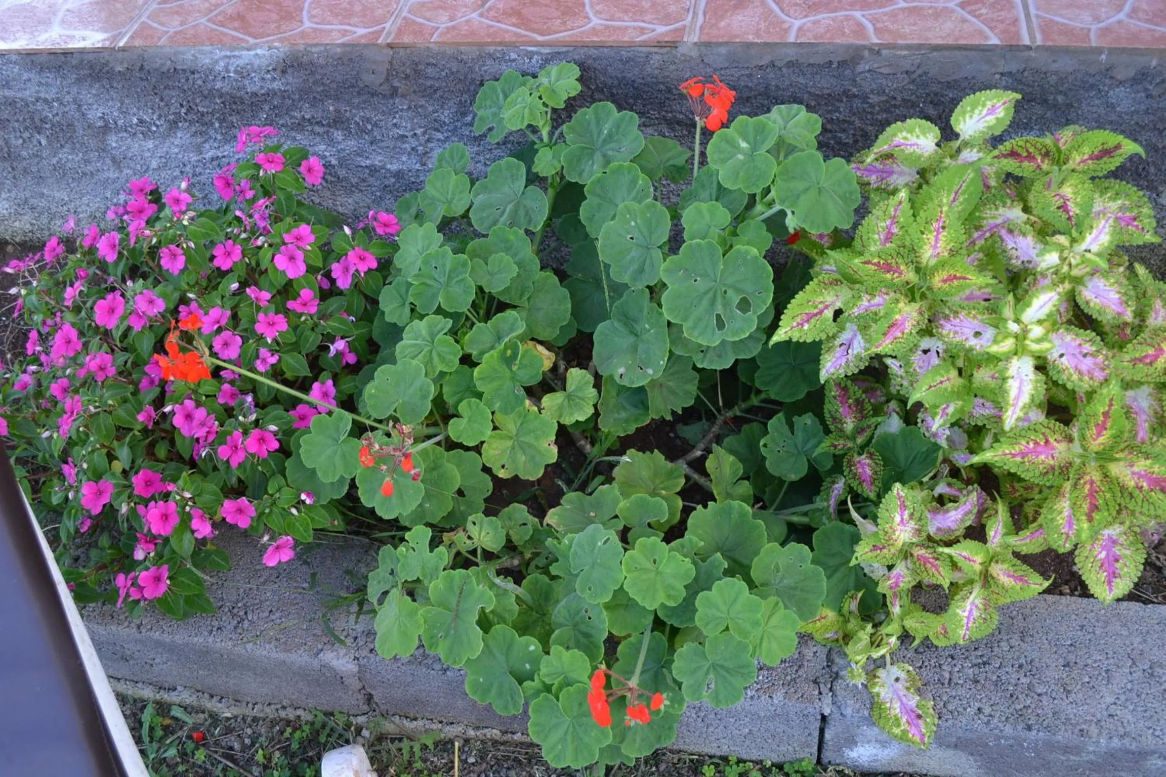 Off site in Cabañas Henua Iti