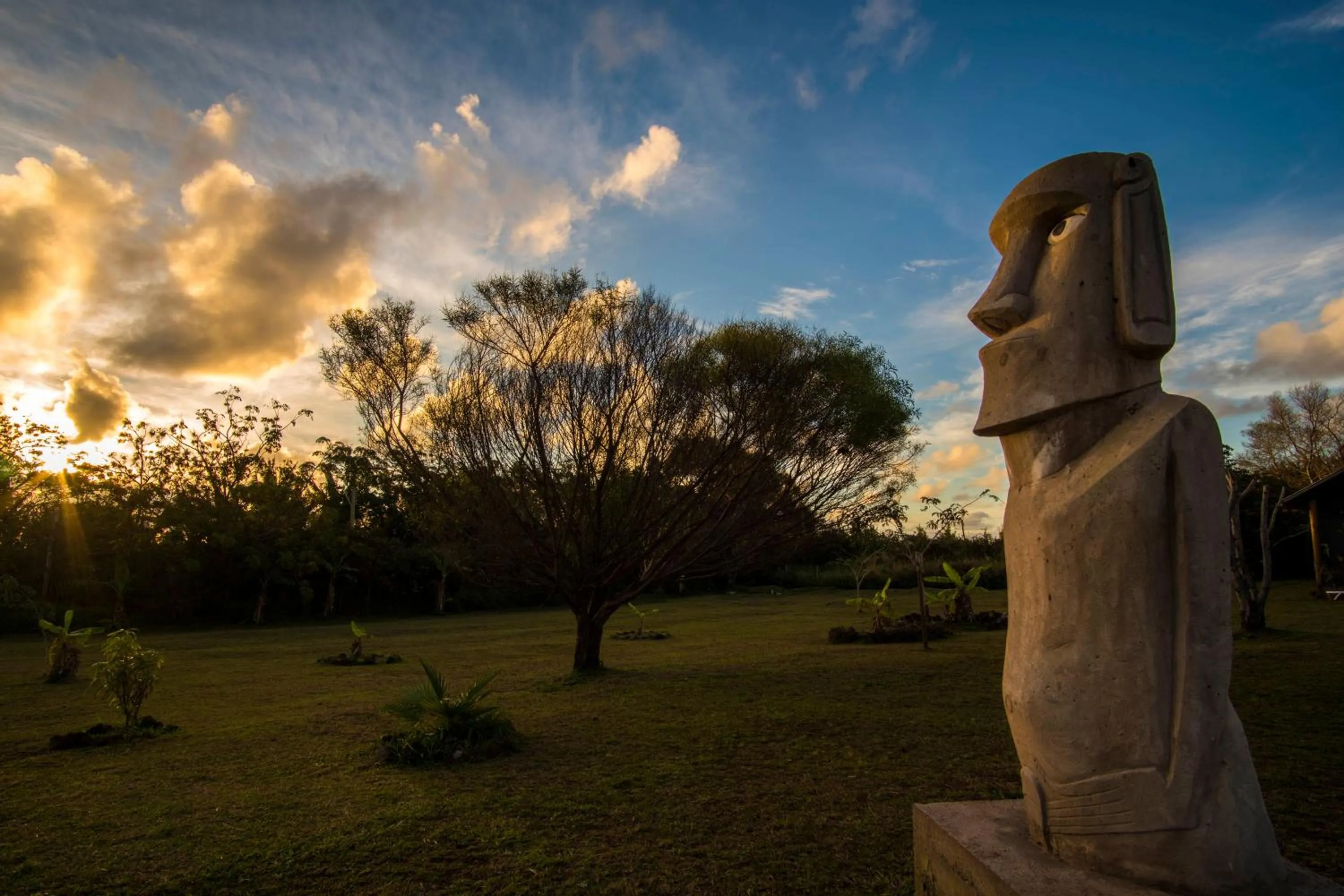 Garden in Cabañas Henua Iti