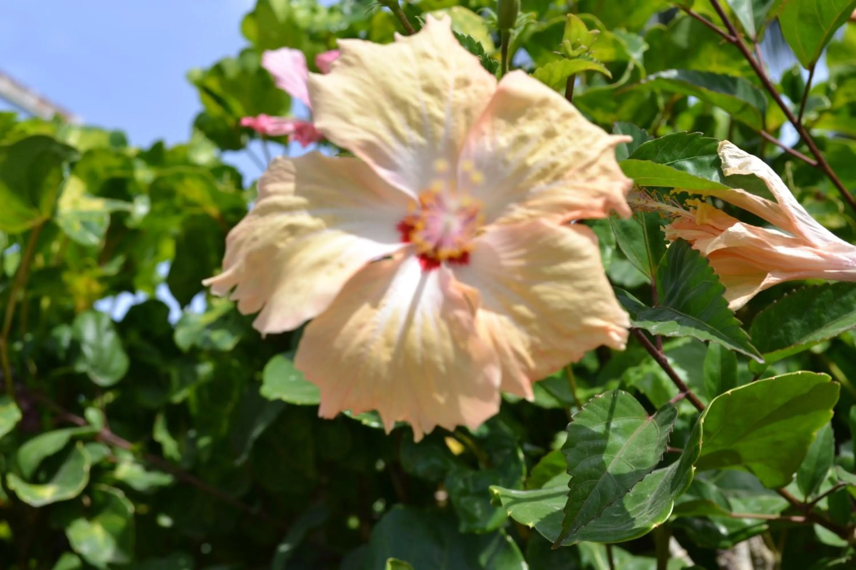 Off site in Cabañas Henua Iti