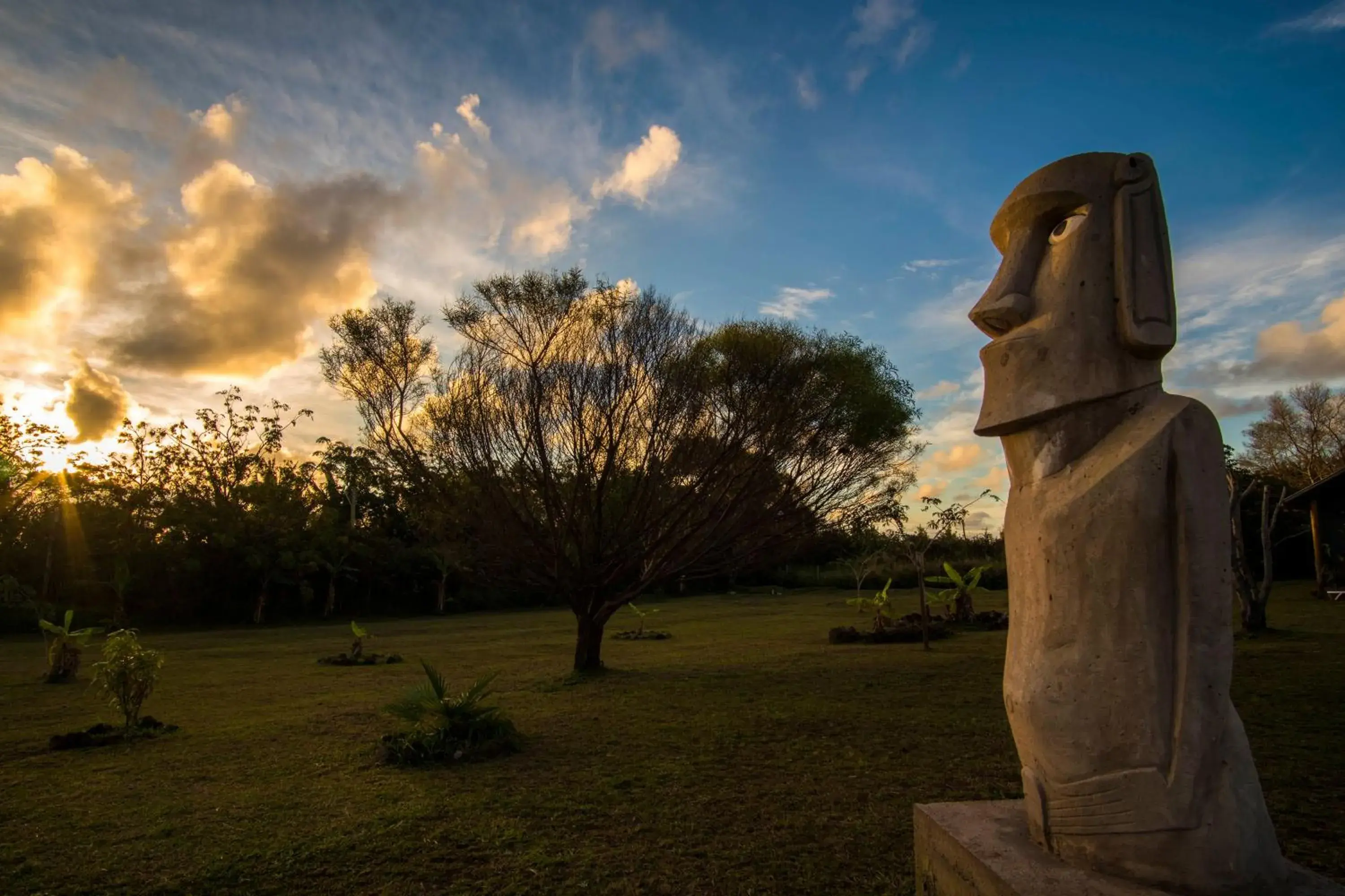Bird's eye view in Cabañas Henua Iti Bird's eye view in Cabañas Henua Iti