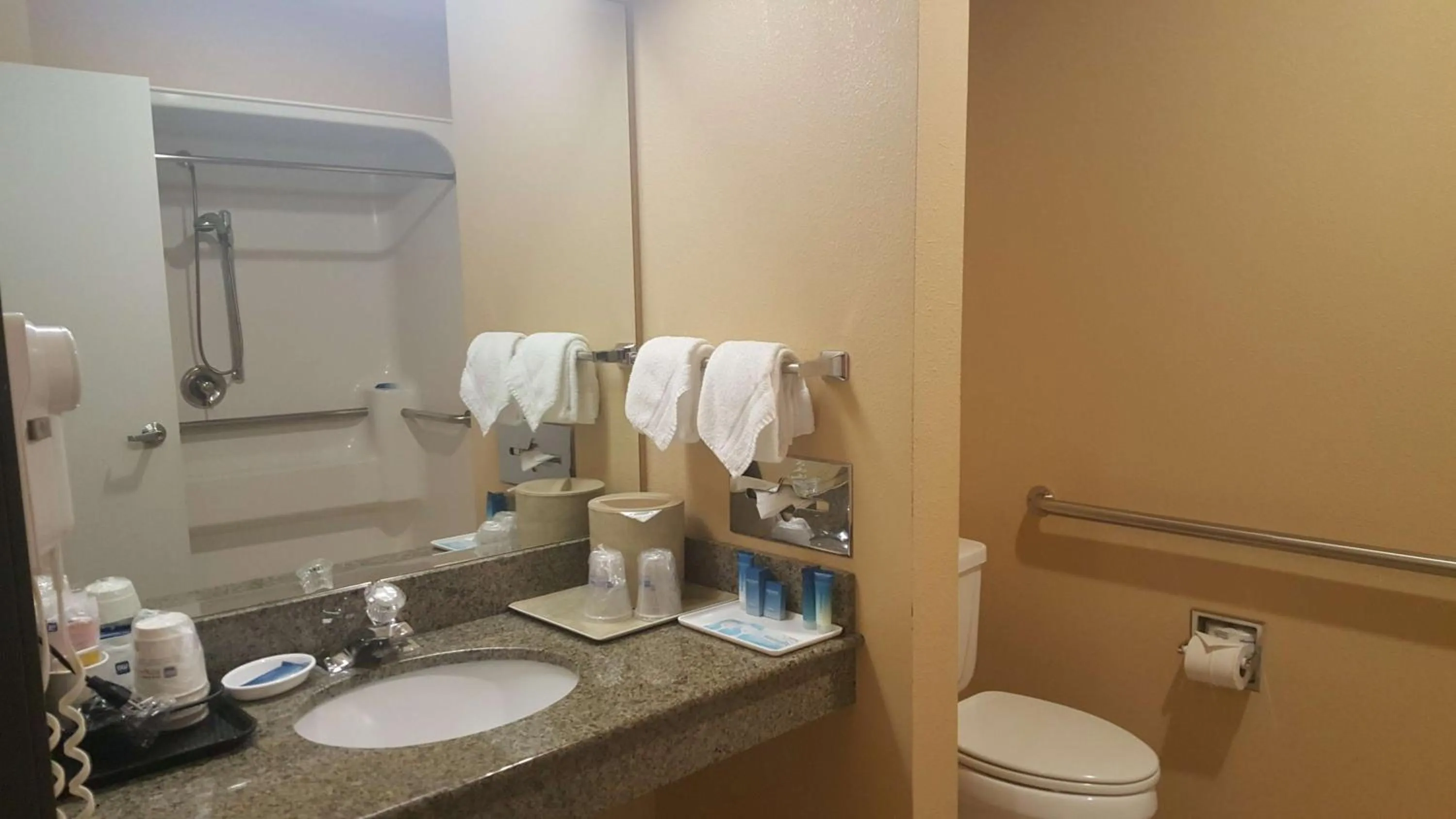 Bathroom in Best Western Pendleton Inn
