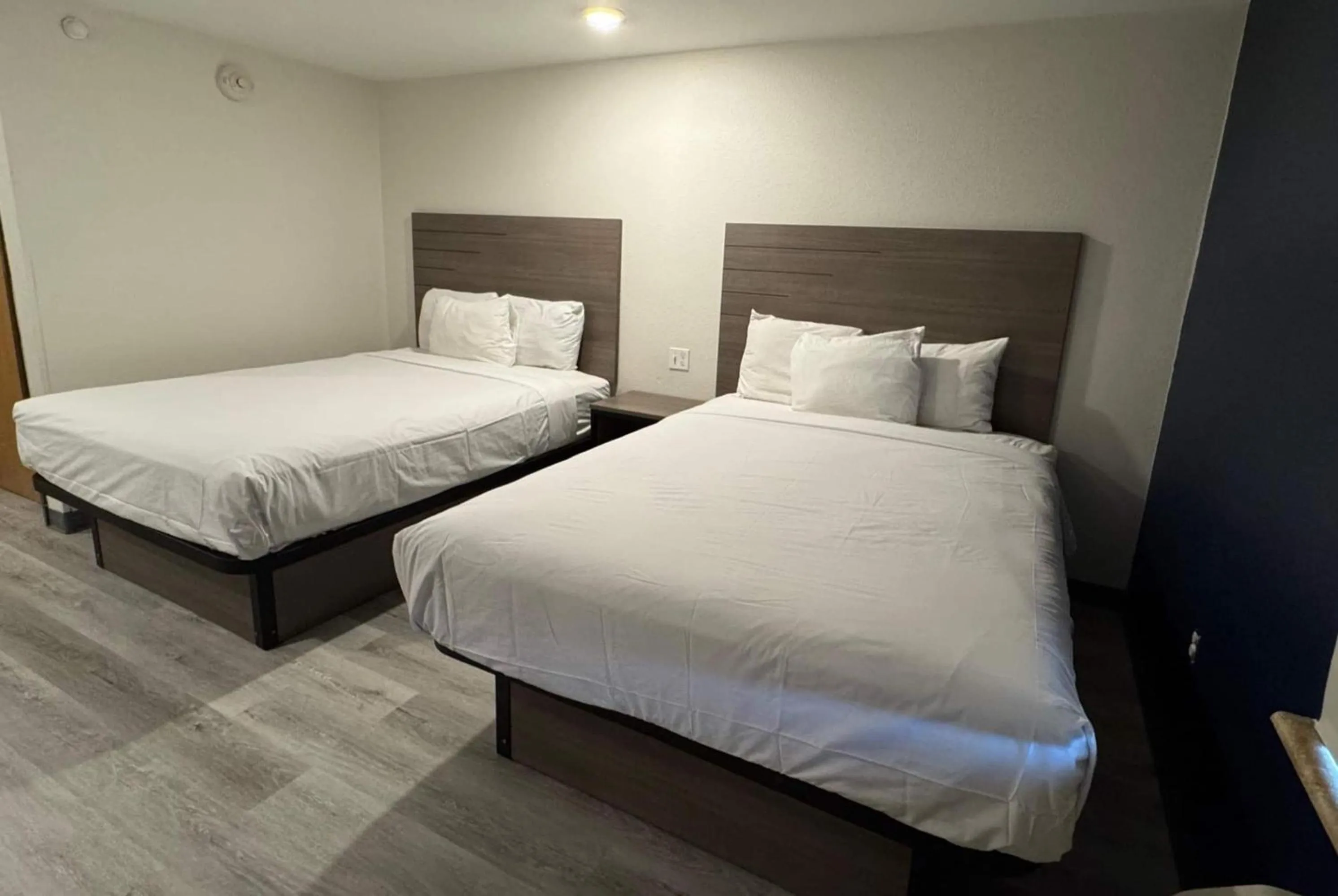 Photo of the whole room, Bed in Baymont by Wyndham Dickinson