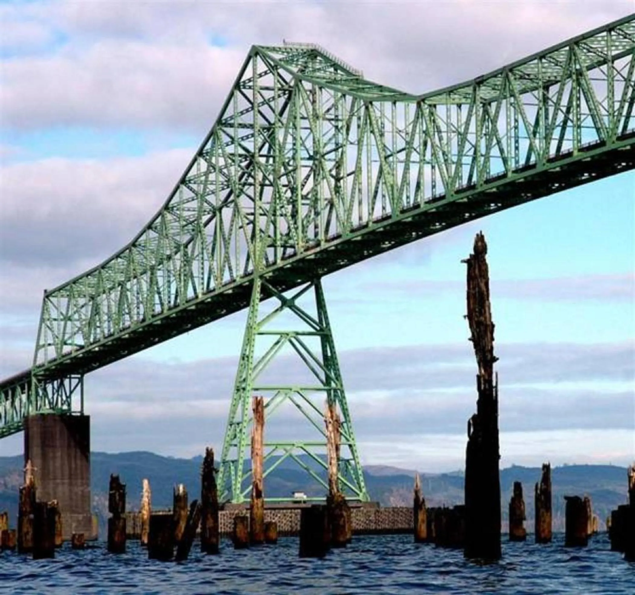 Area and facilities in Hotel Elliott