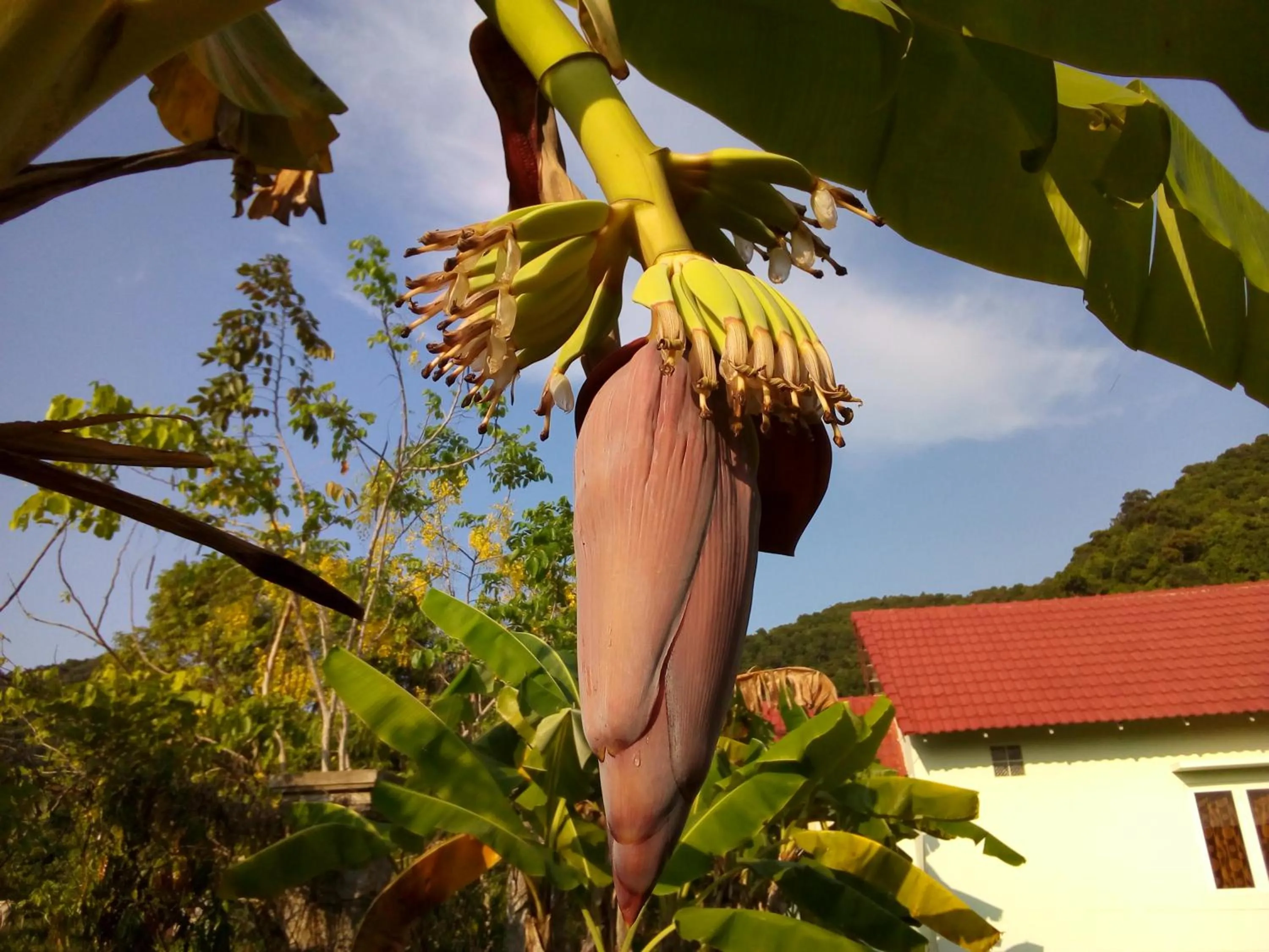 Natural landscape in Kep Bungalows
