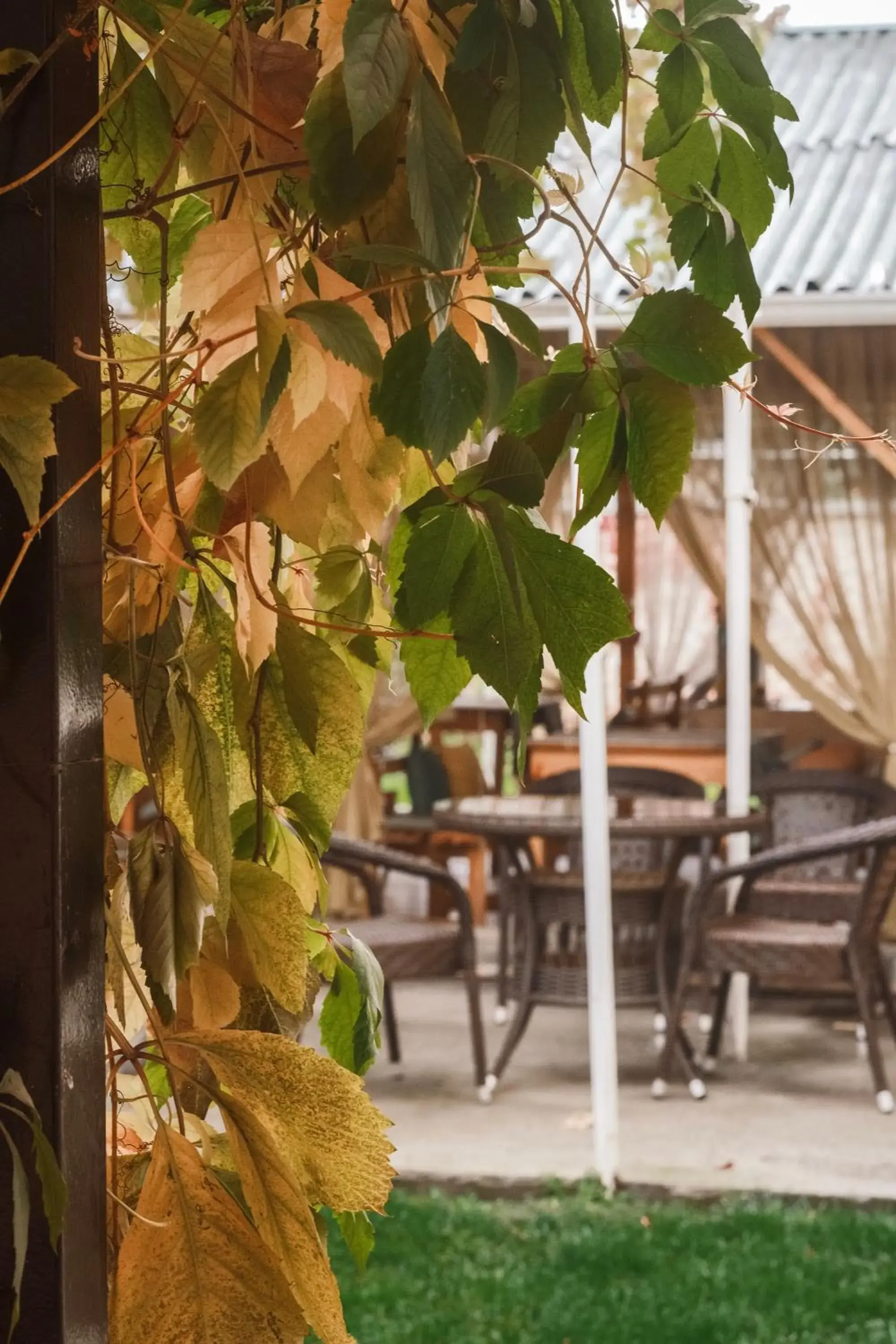 Restaurant/places to eat in TES Hotel Restaurant/places to eat in TES Hotel