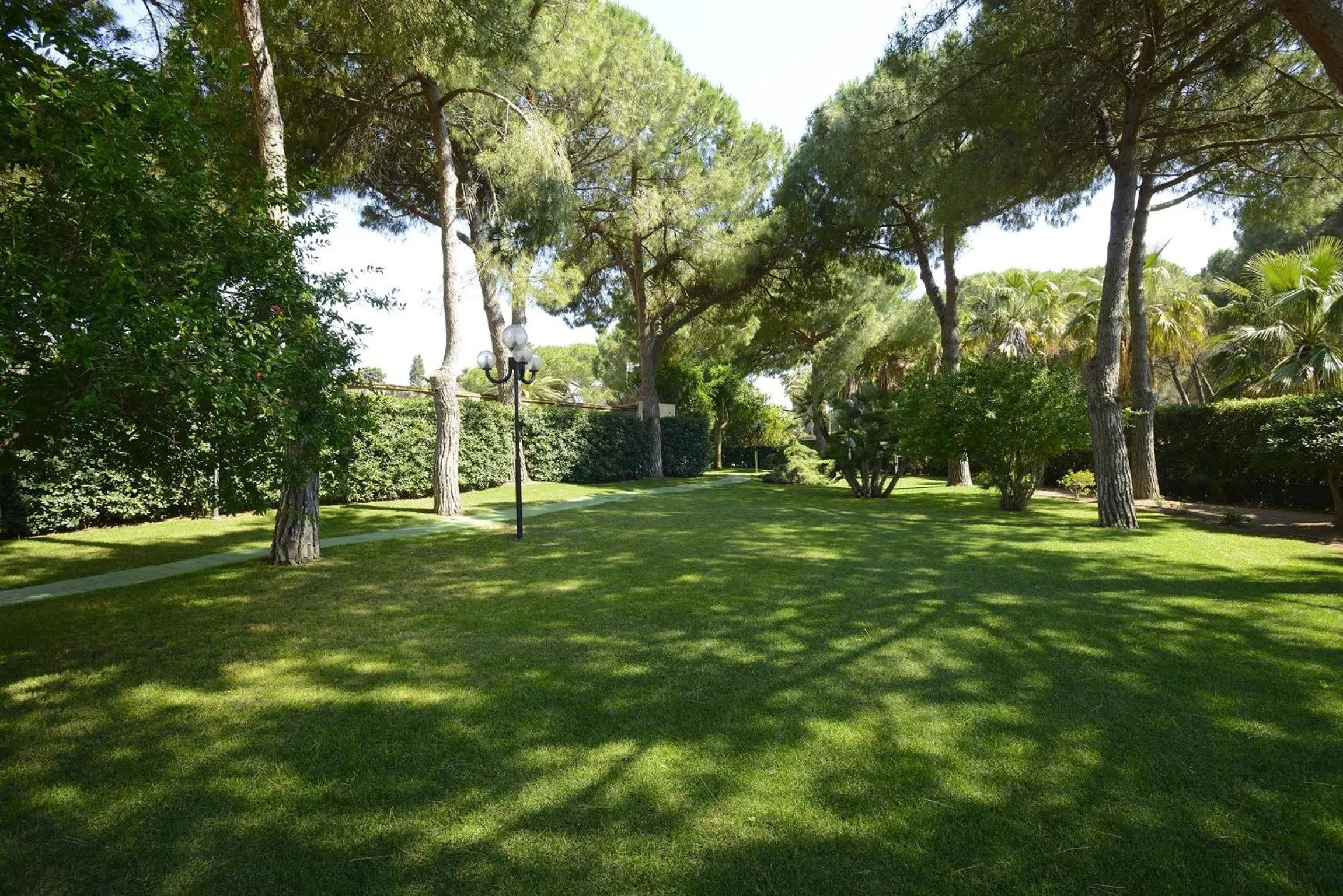 Day in Residence Oasis