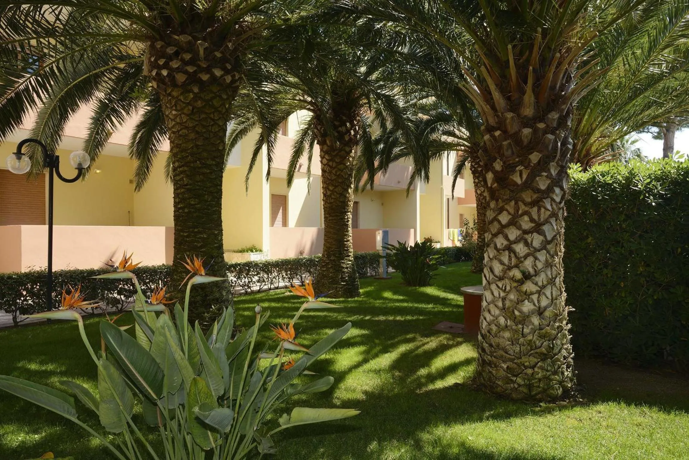 Garden in Residence Oasis