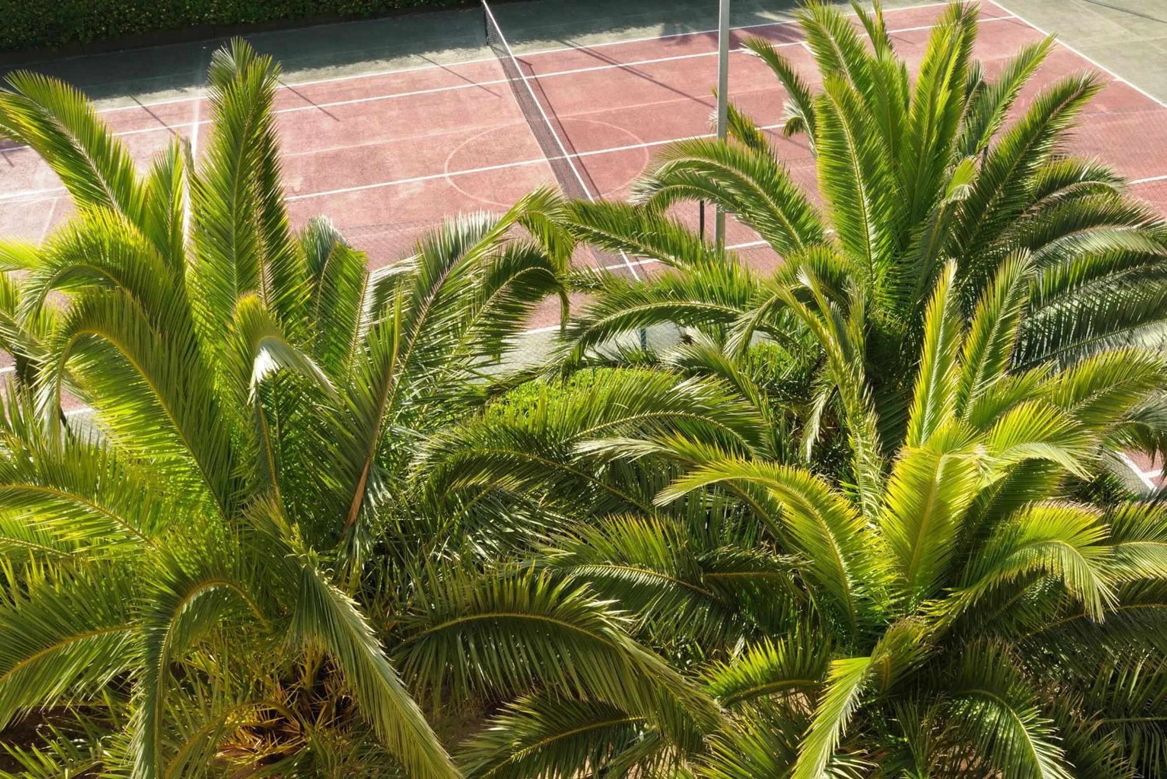 Other in Residence Oasis