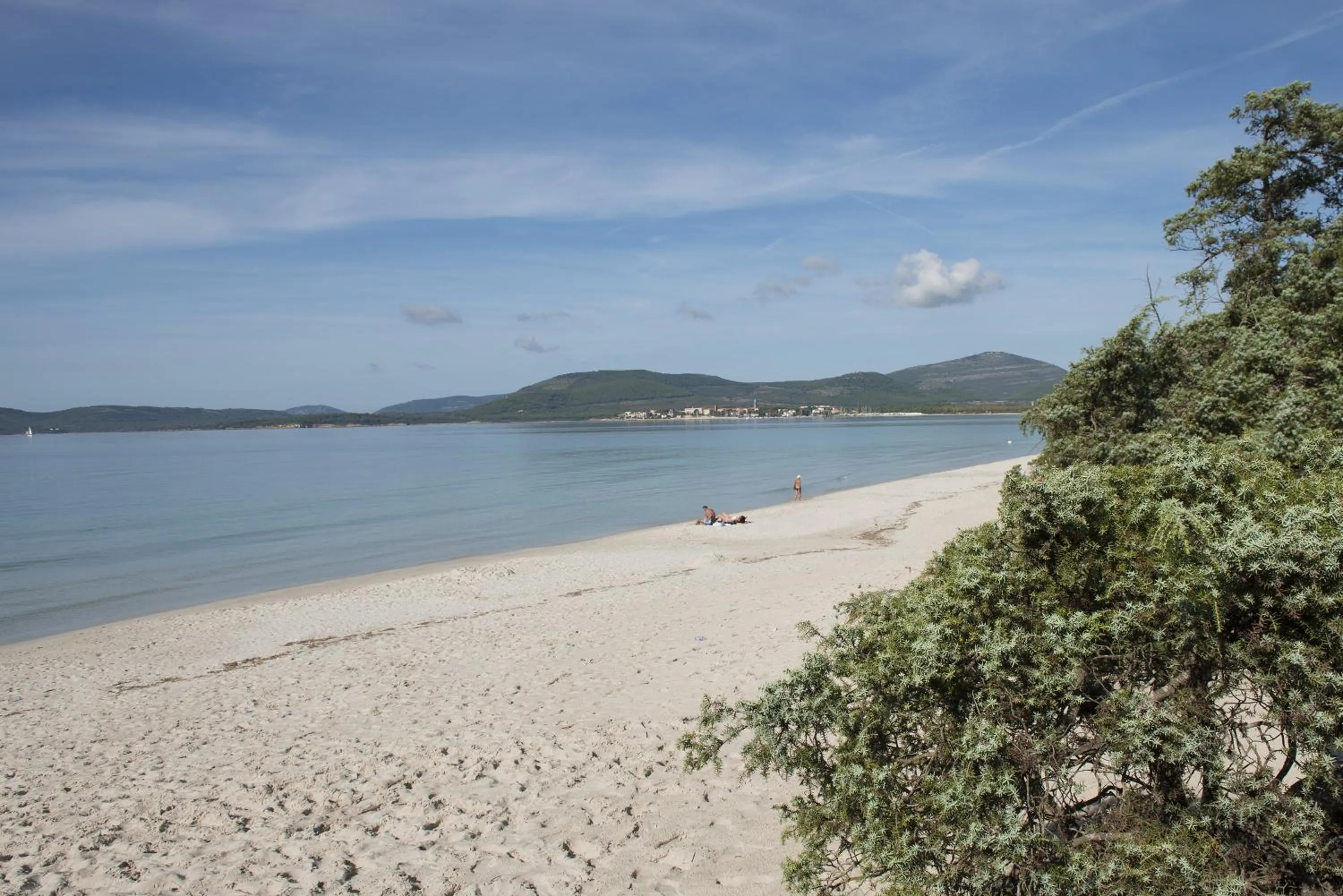 Beach in Residence Oasis