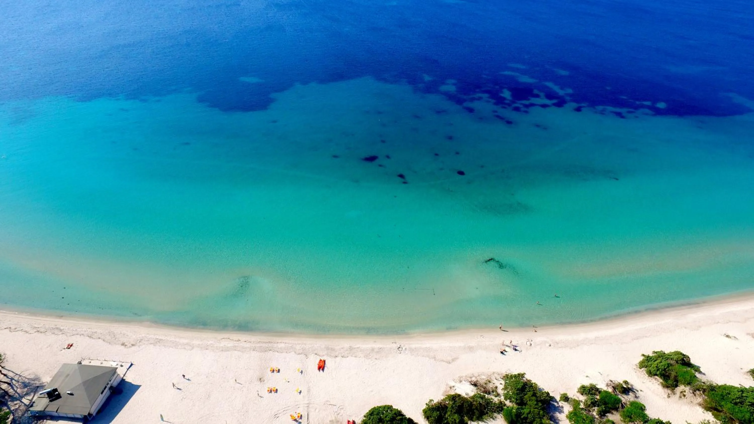 Day in Residence Oasis