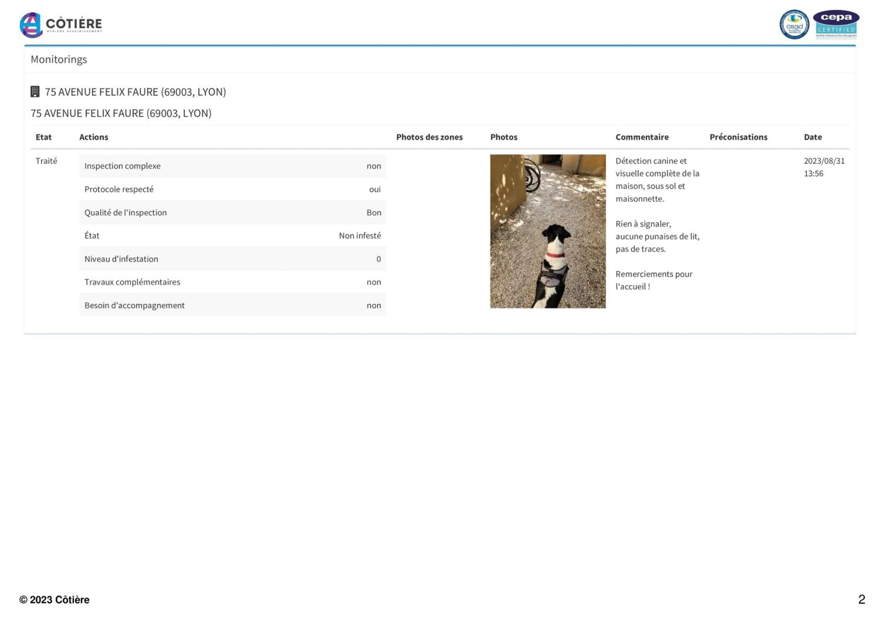Text overlay in Félix dOrt