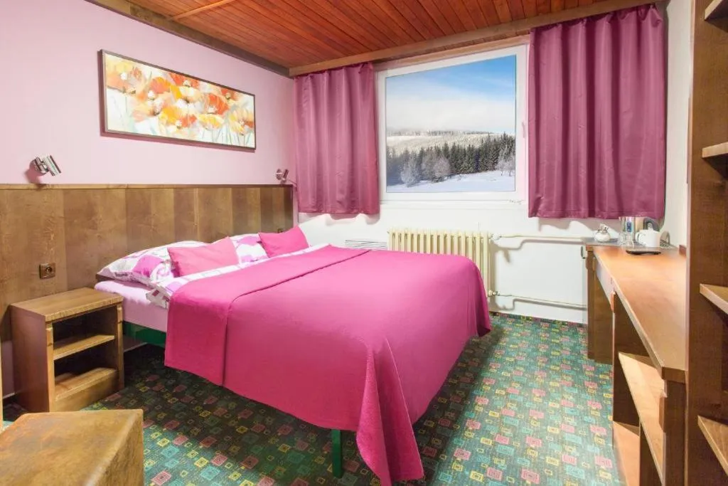 Property building, Bed in Hotel Tetřeví Boudy