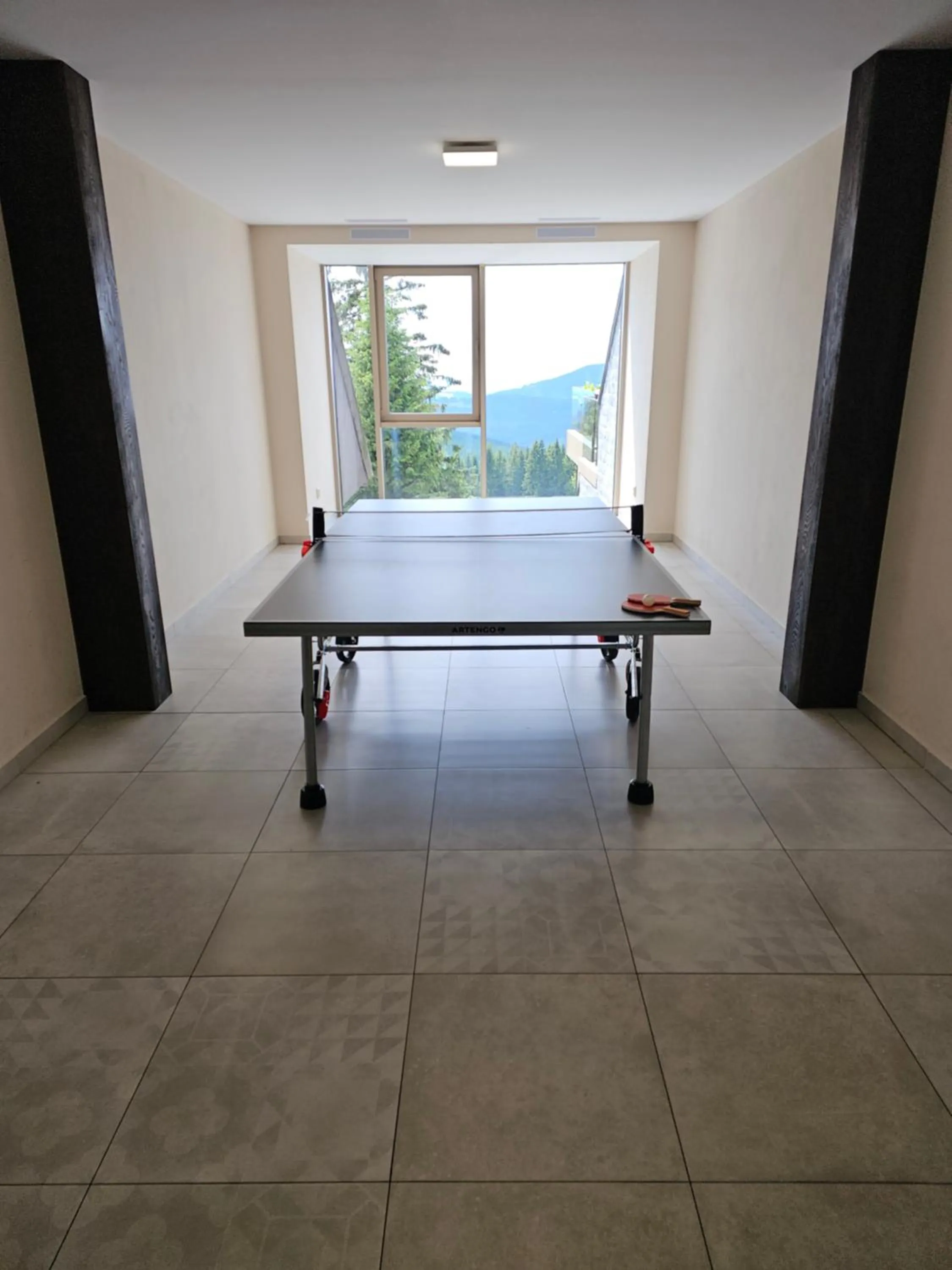 Game Room in Hotel Tetřeví Boudy