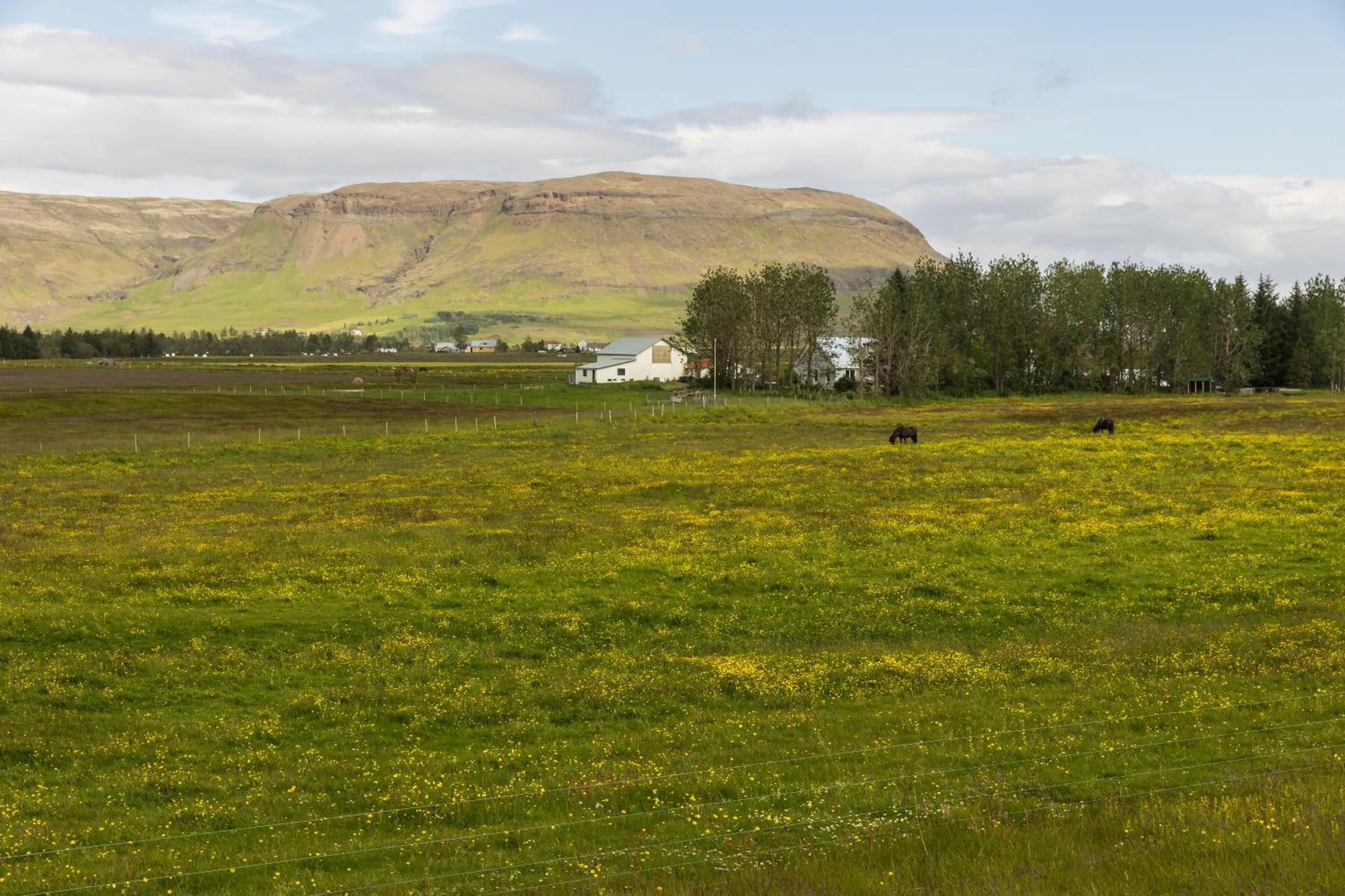 Property building in South Central Apartments
