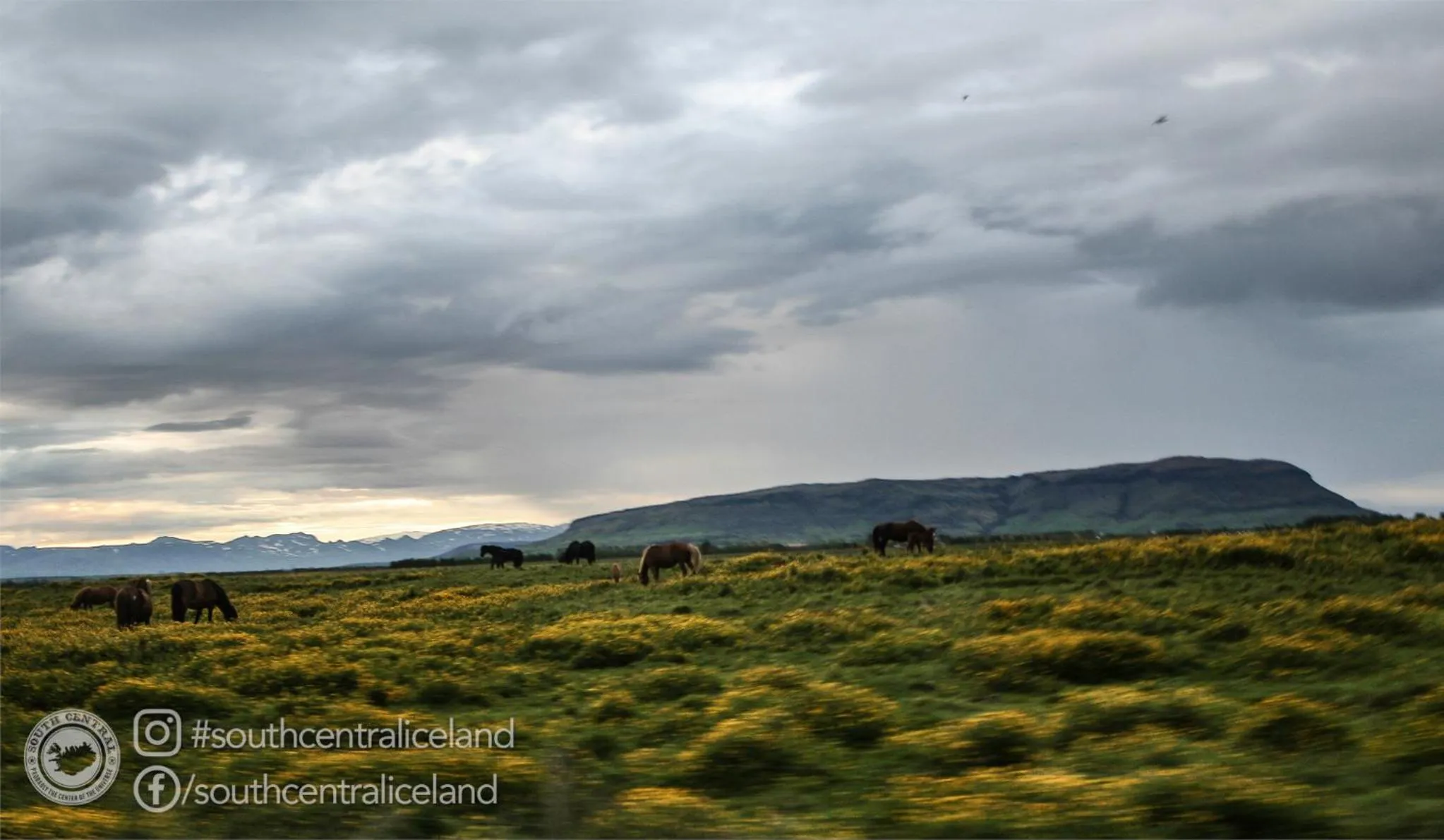 Day in South Central Apartments