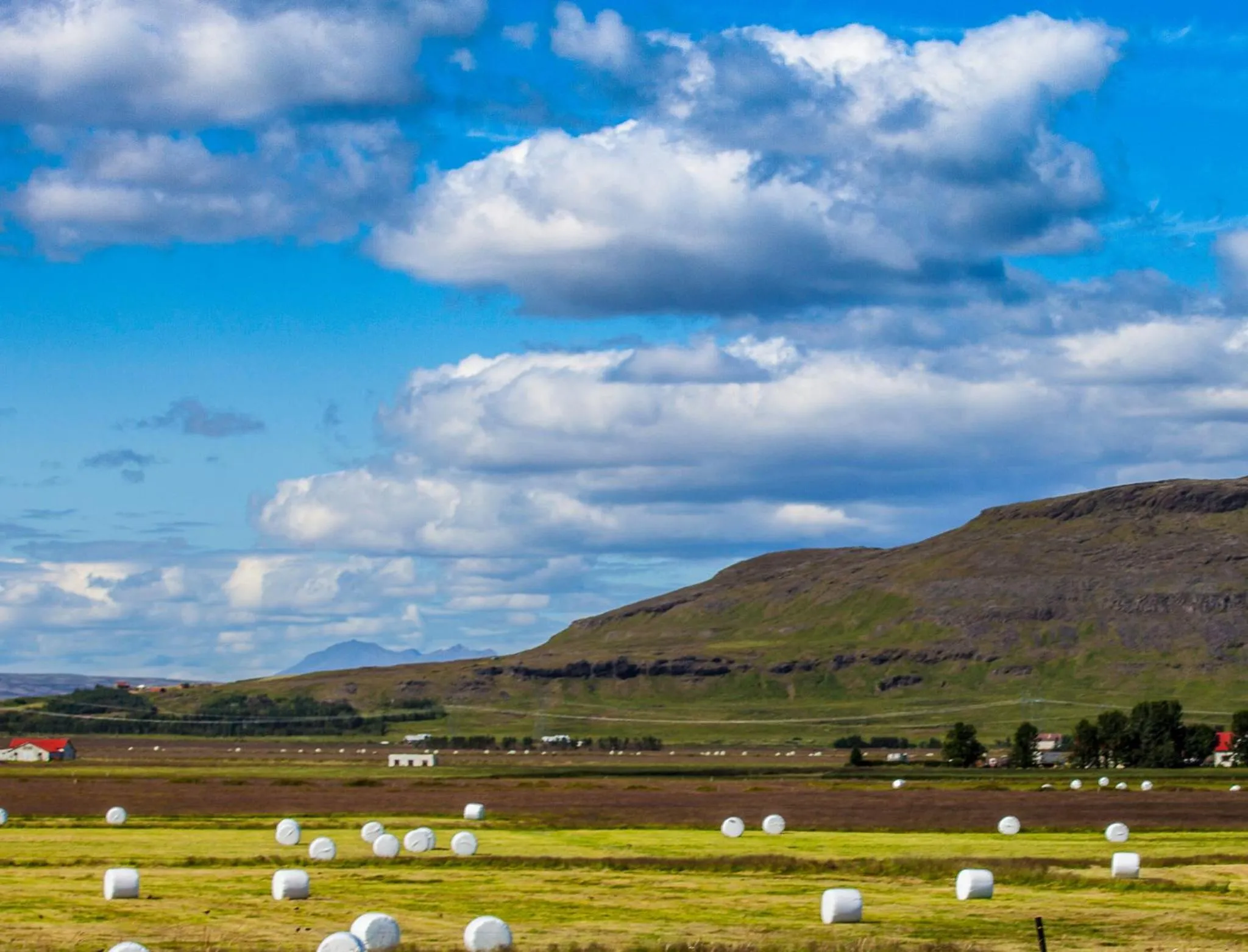 Summer in South Central Apartments