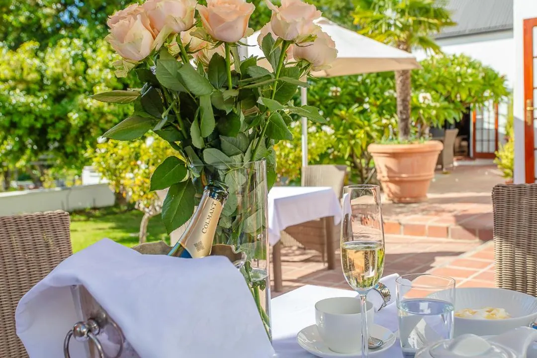 Garden in Franschhoek Manor
