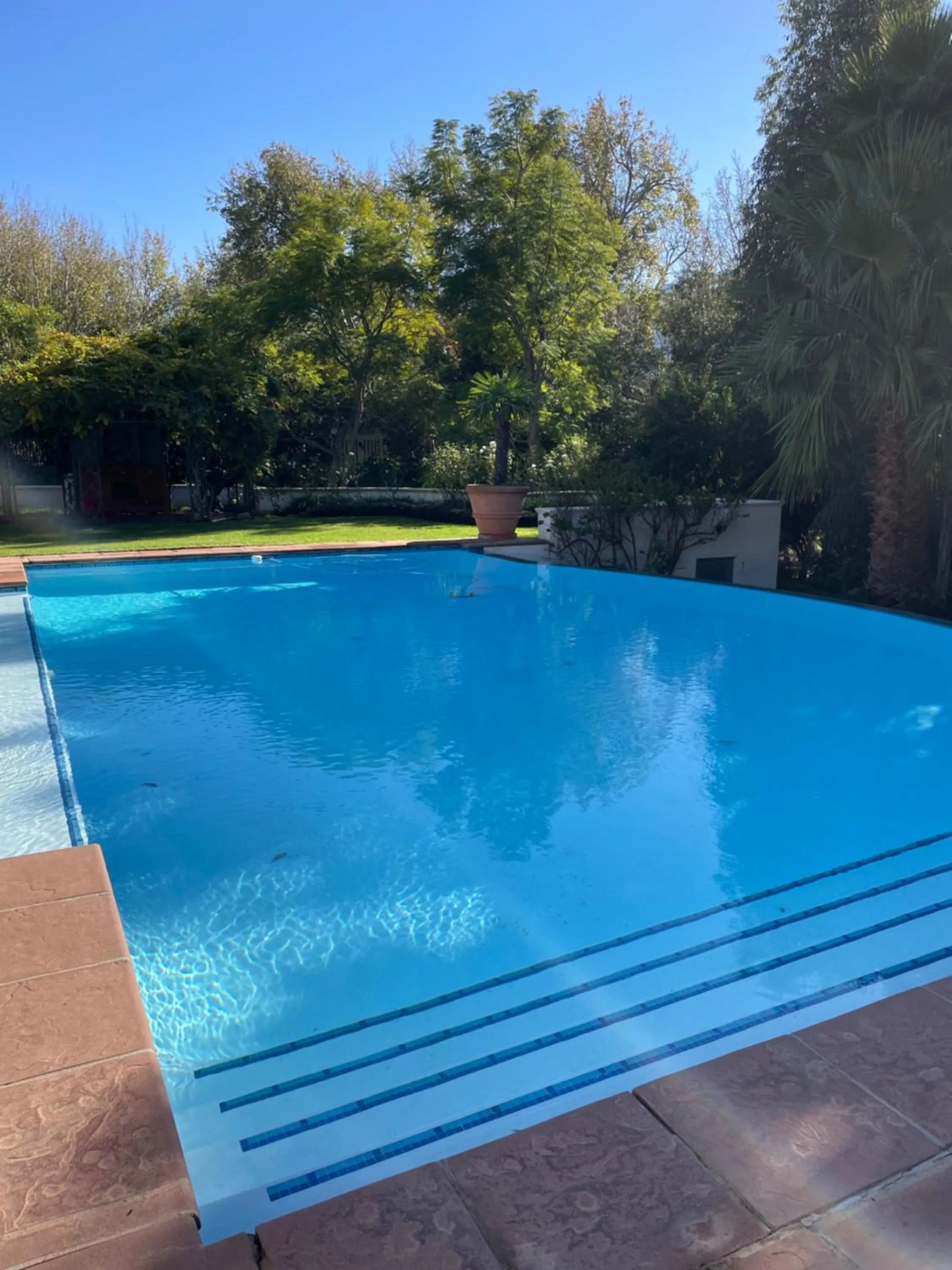 Pool view in Franschhoek Manor