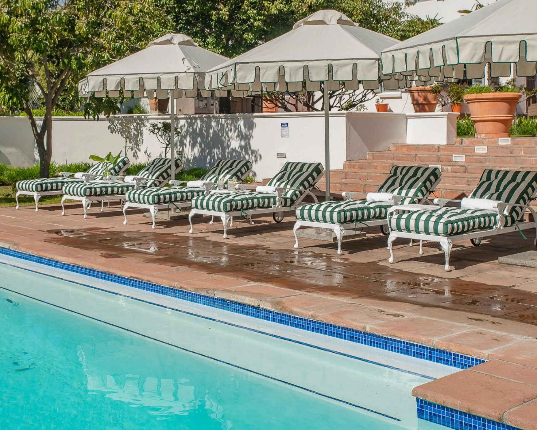 sunbed in Franschhoek Manor