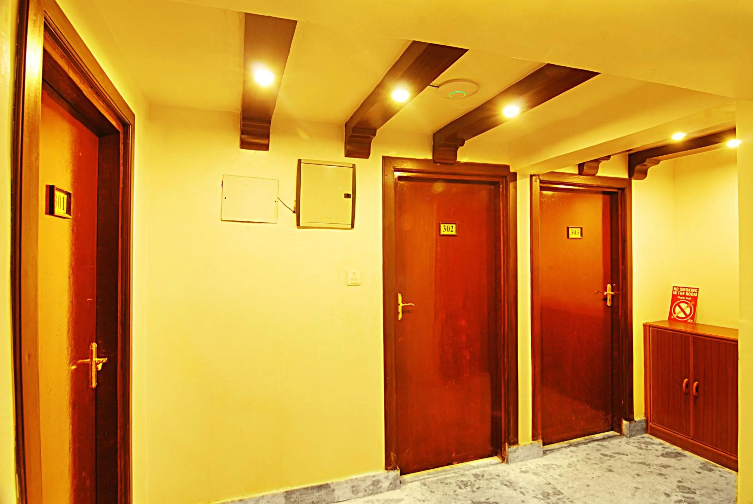 Area and facilities in Hotel Bubo Himalaya