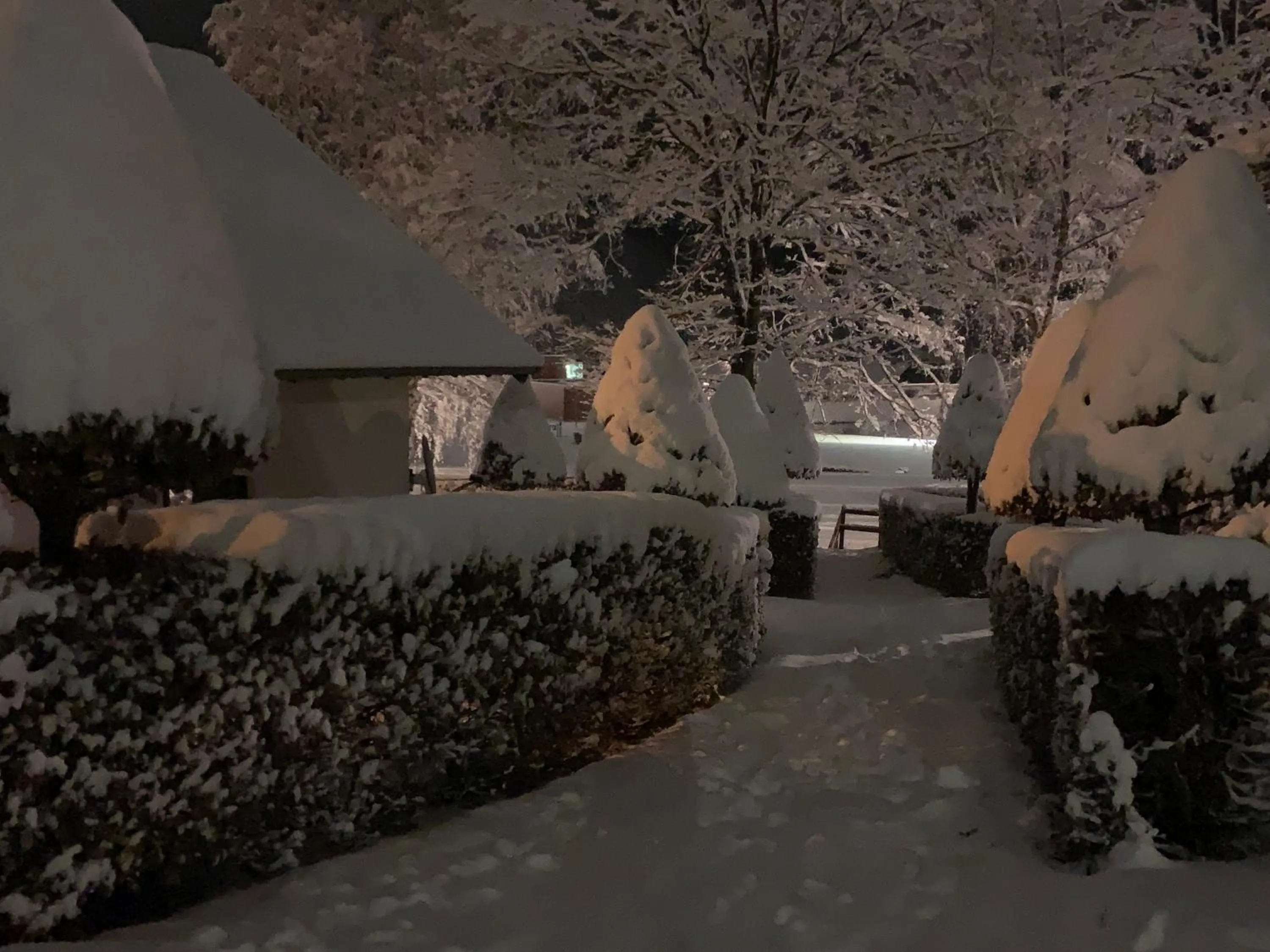 Winter in Ferienpark Rursee