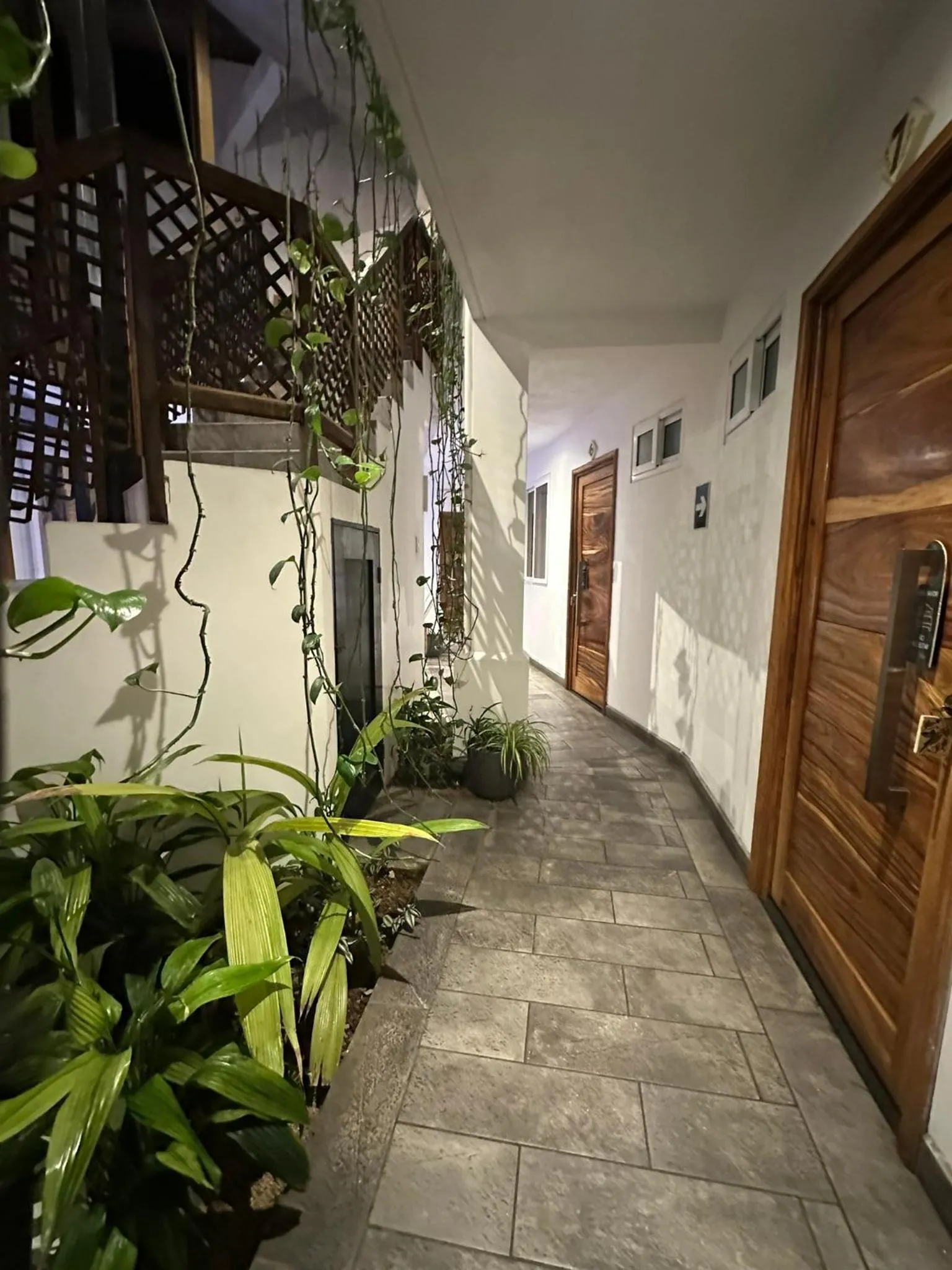 Grupo Hotelero Colibri