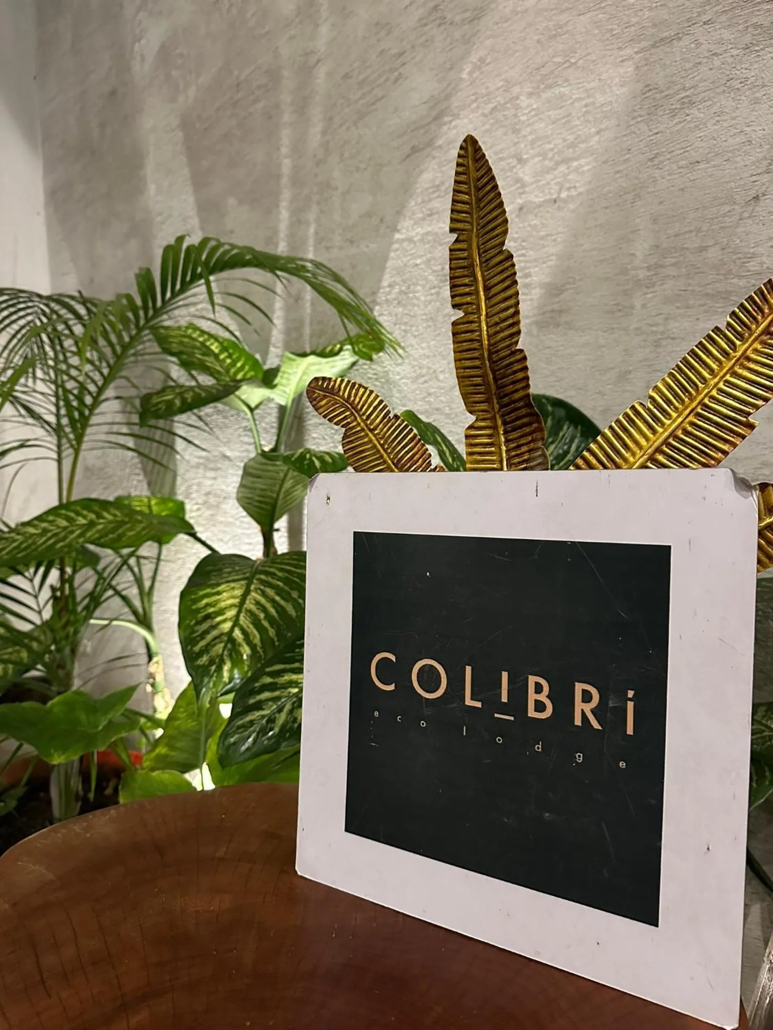 Grupo Hotelero Colibri