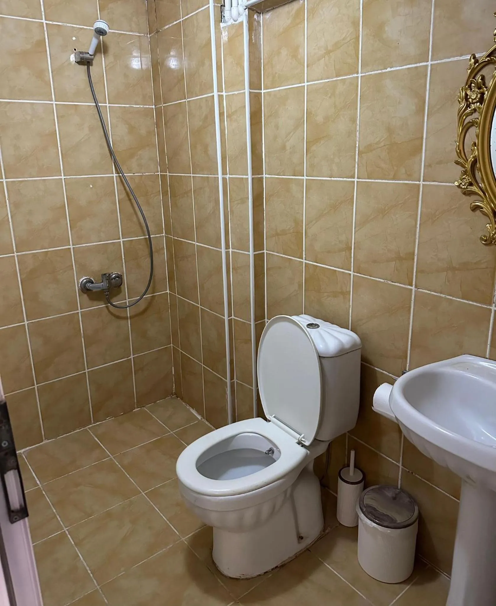 Shower in Hotel Metropol 1