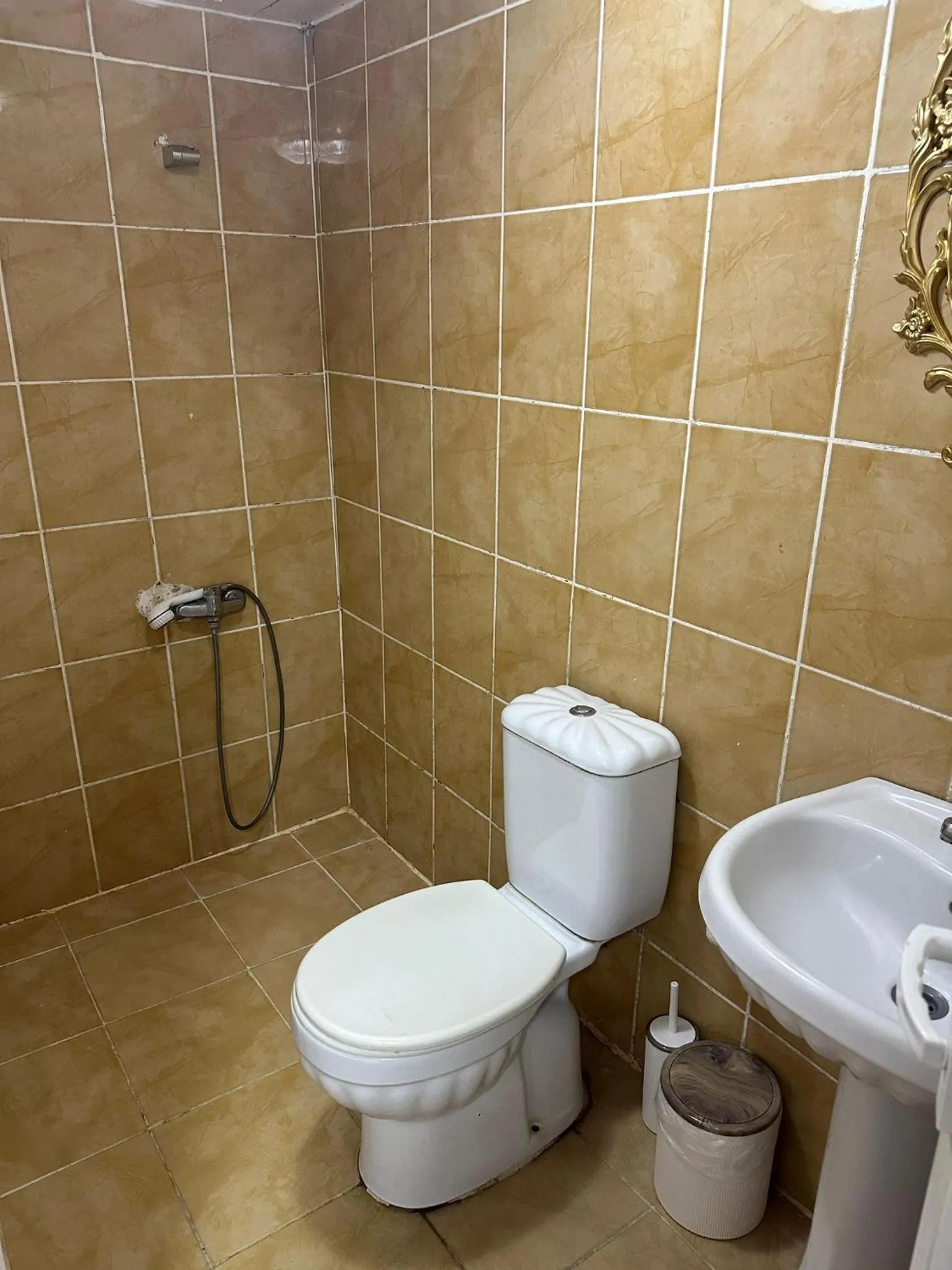 Shower in Hotel Metropol 1