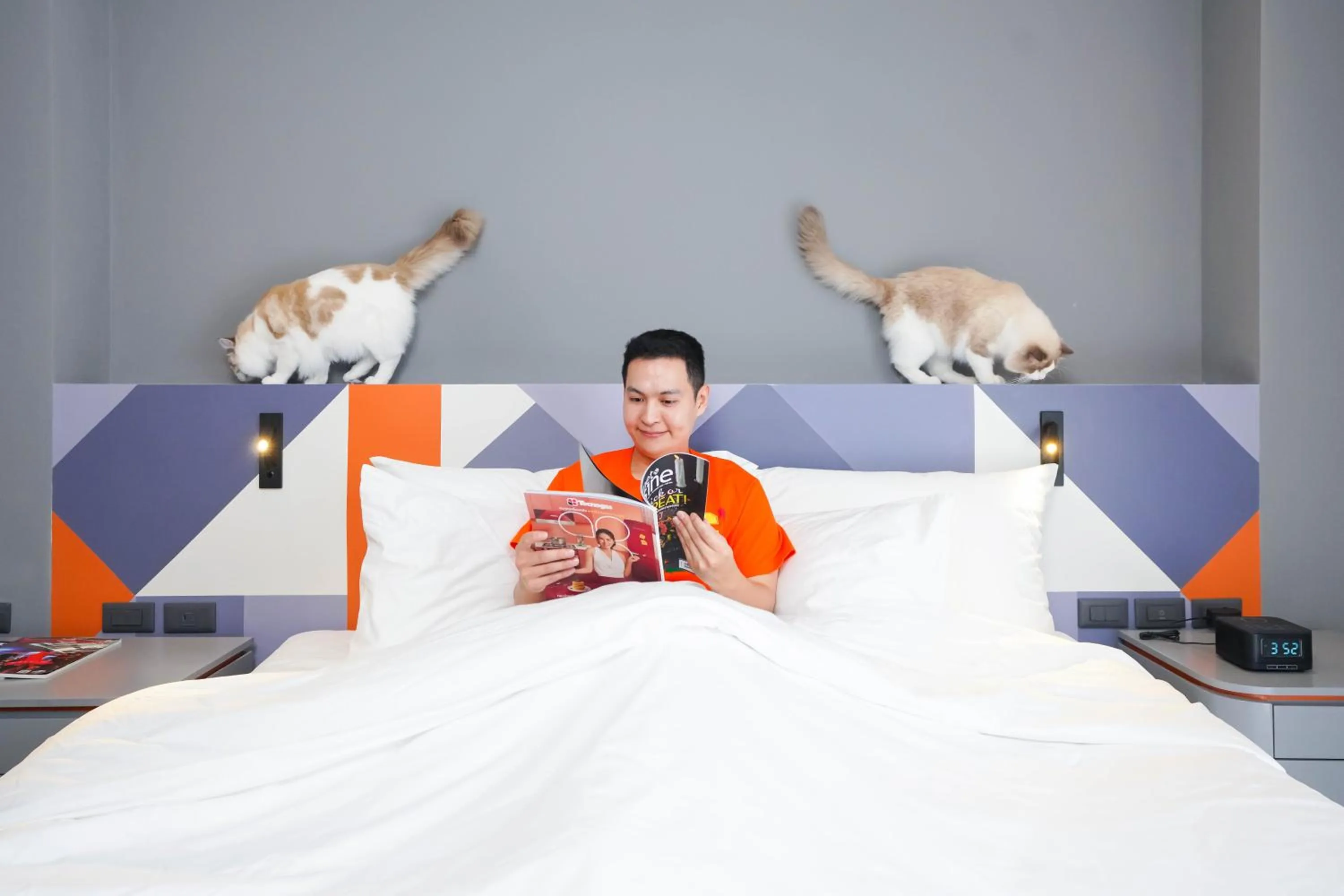 Pets, Bed in Maybis Hotel