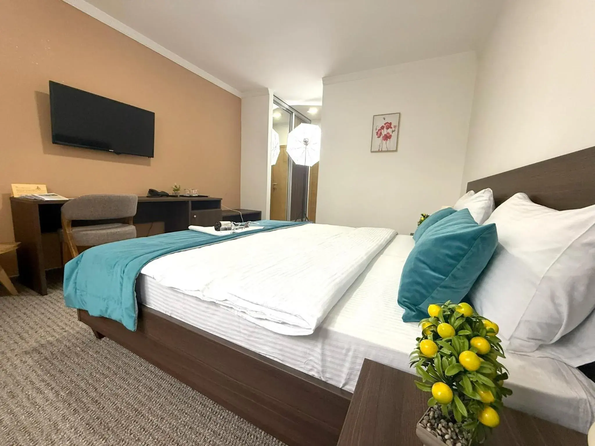 Double or Twin Room - single occupancy in Hotel "Izvor Bosne" Double or Twin Room - single occupancy in Hotel "Izvor Bosne"