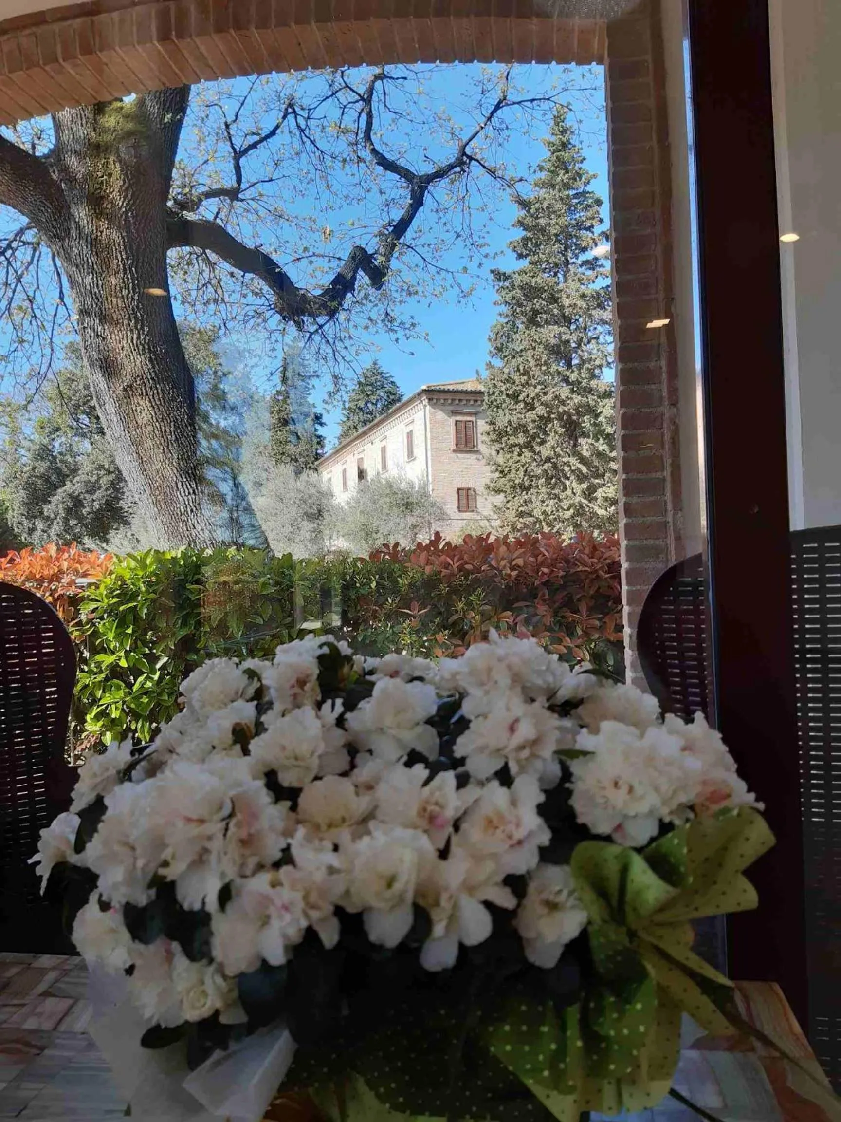 Property building in Hotel Il boschetto