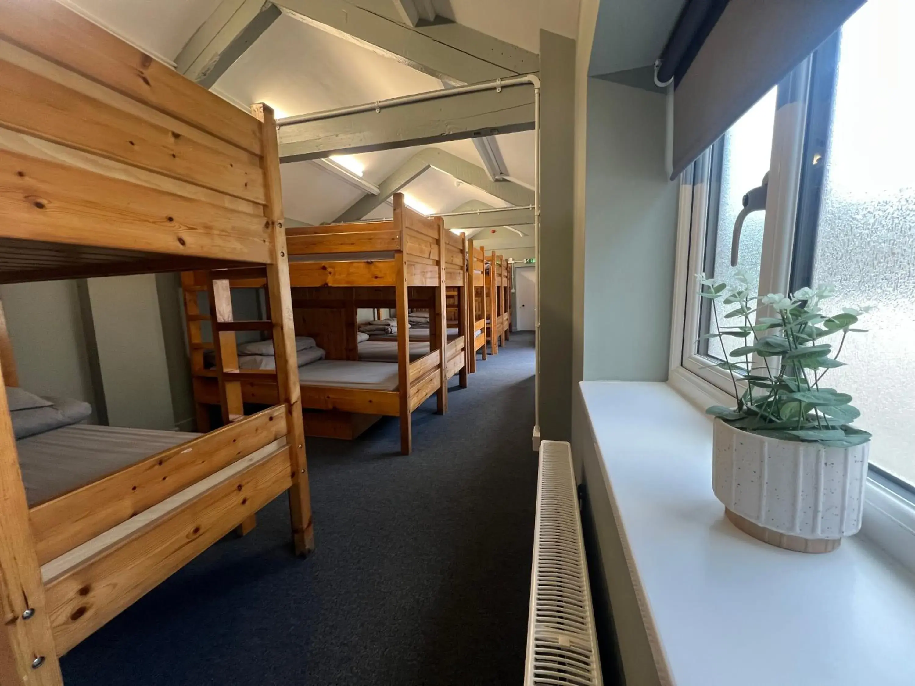 Bunk Bed in Mixed Dormitory Room in Denton House Hostel Bunk Bed in Mixed Dormitory Room in Denton House Hostel