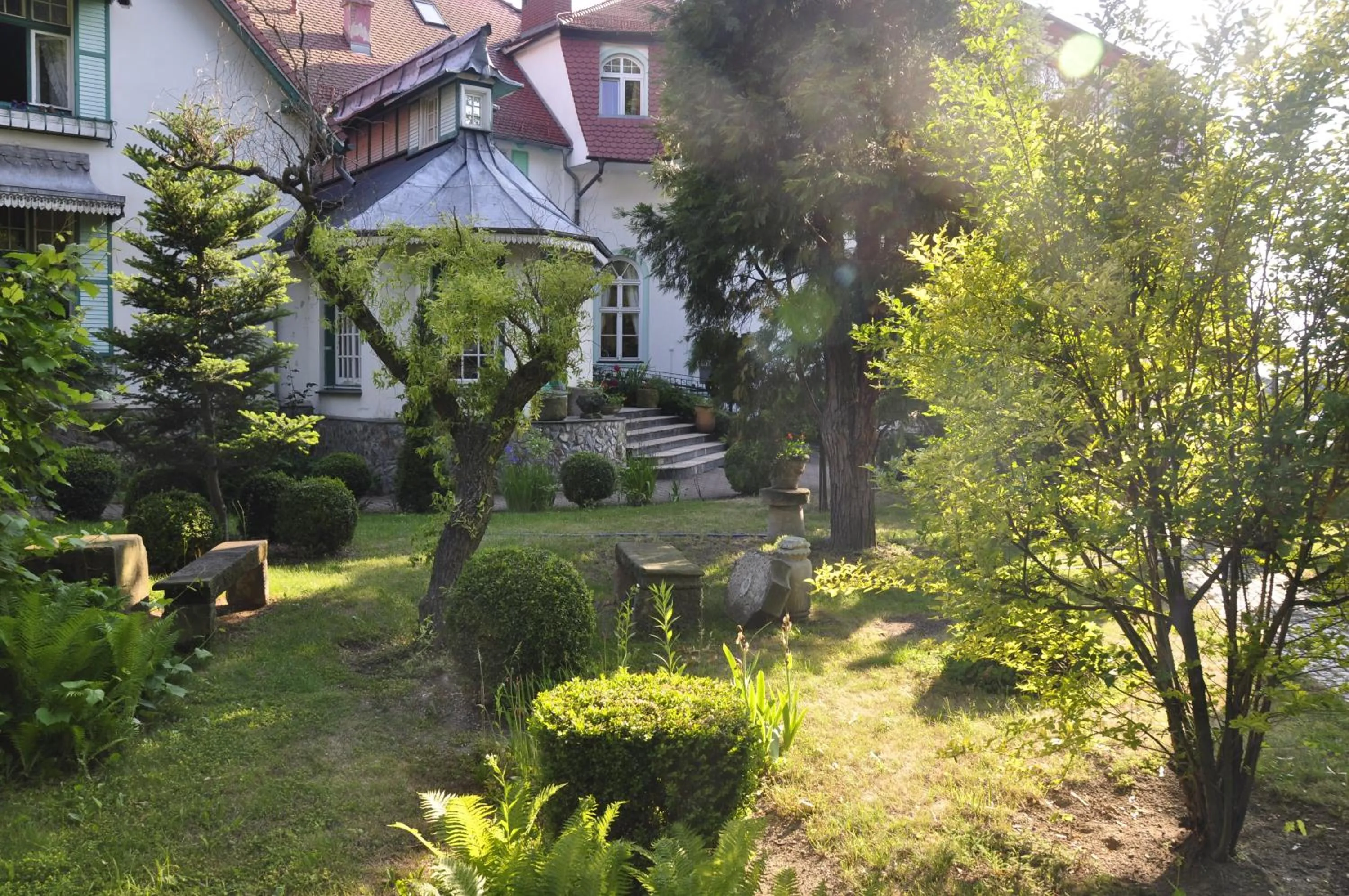 Garden in Hotel Garden