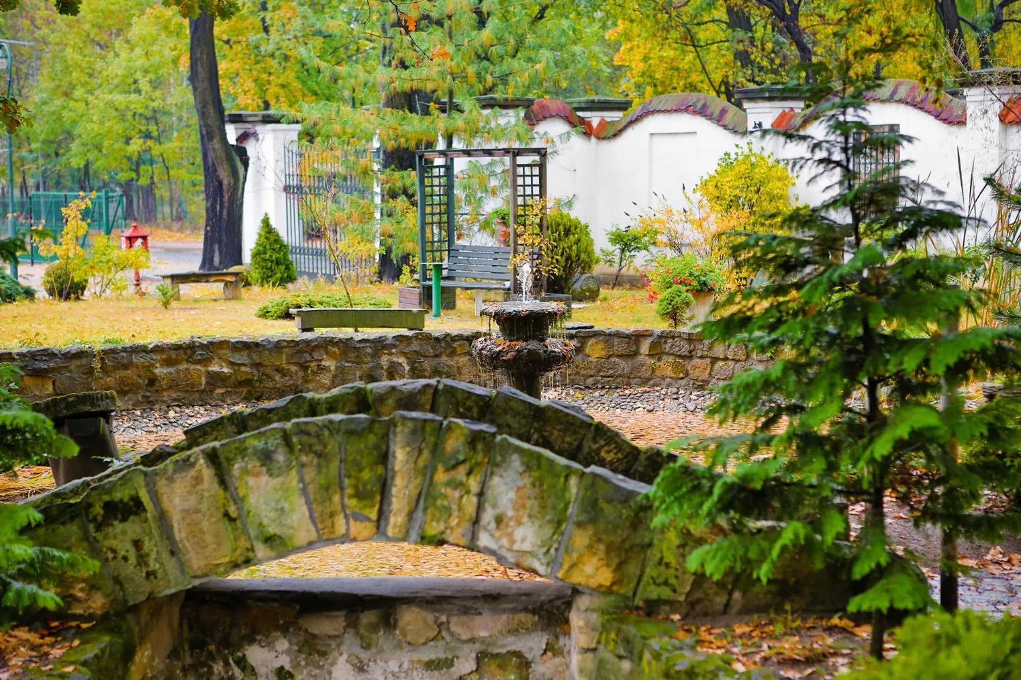 Garden in Hotel Garden