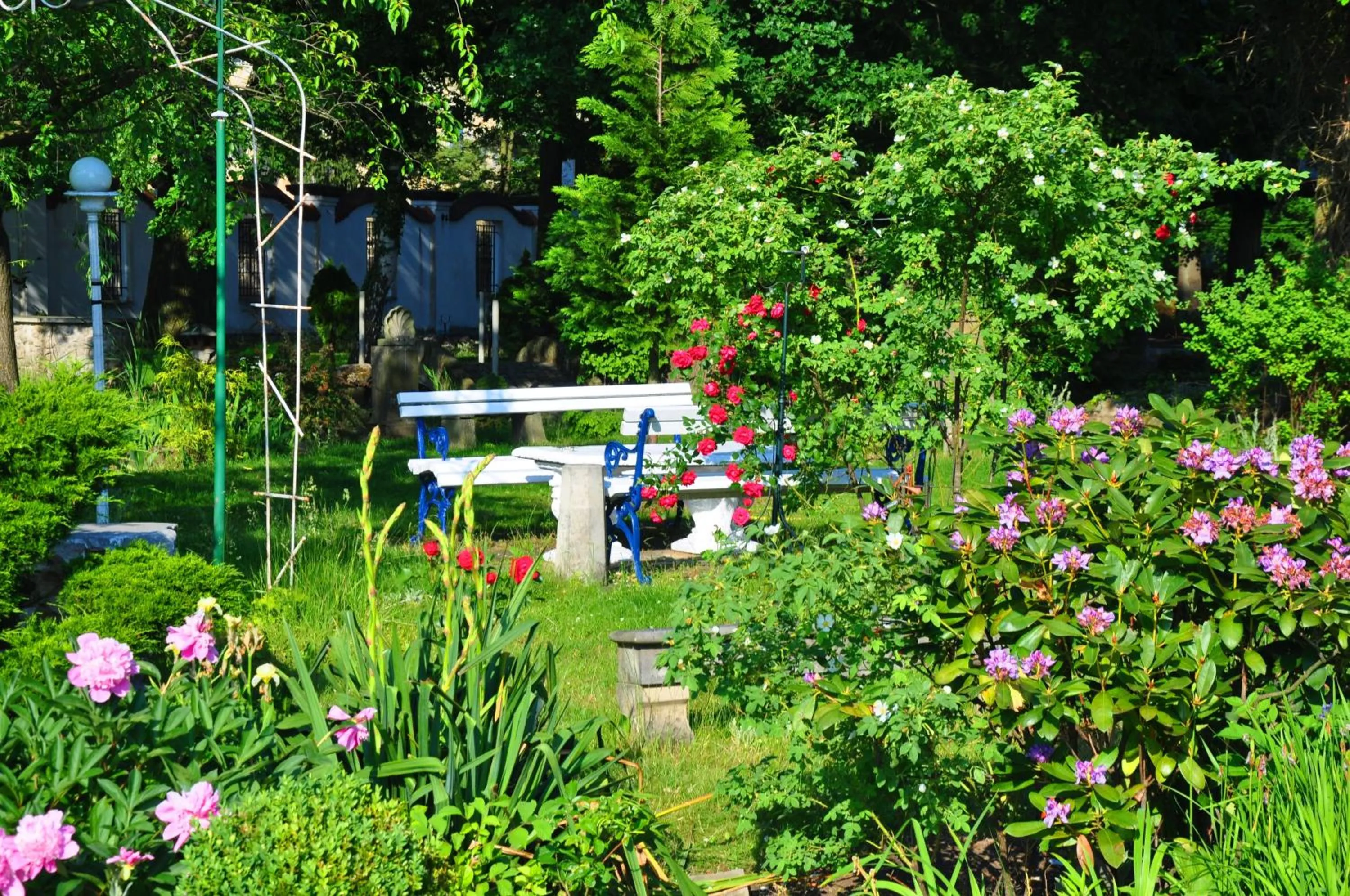 Garden in Hotel Garden