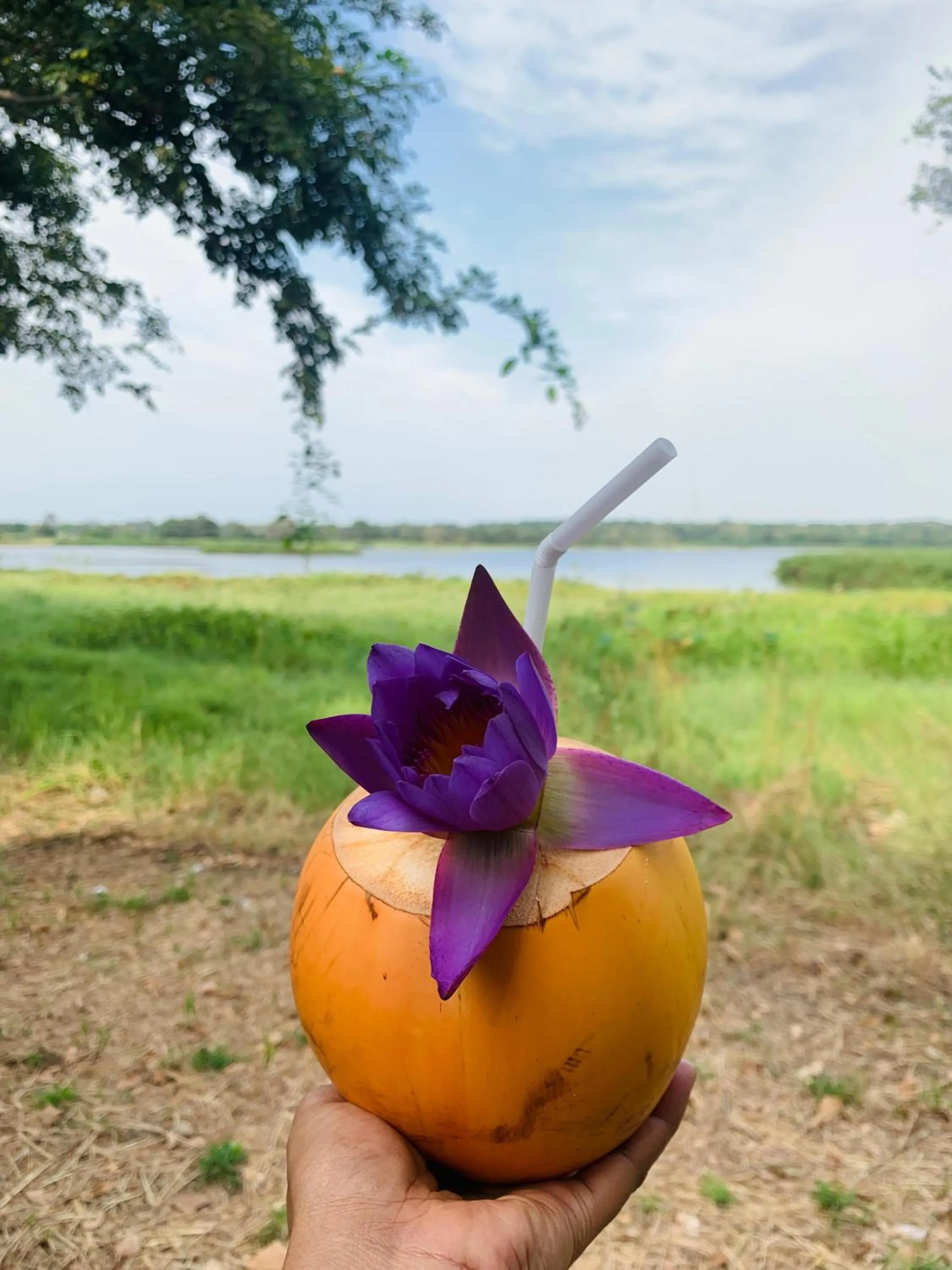 Lake Front Cottage Sigiriya