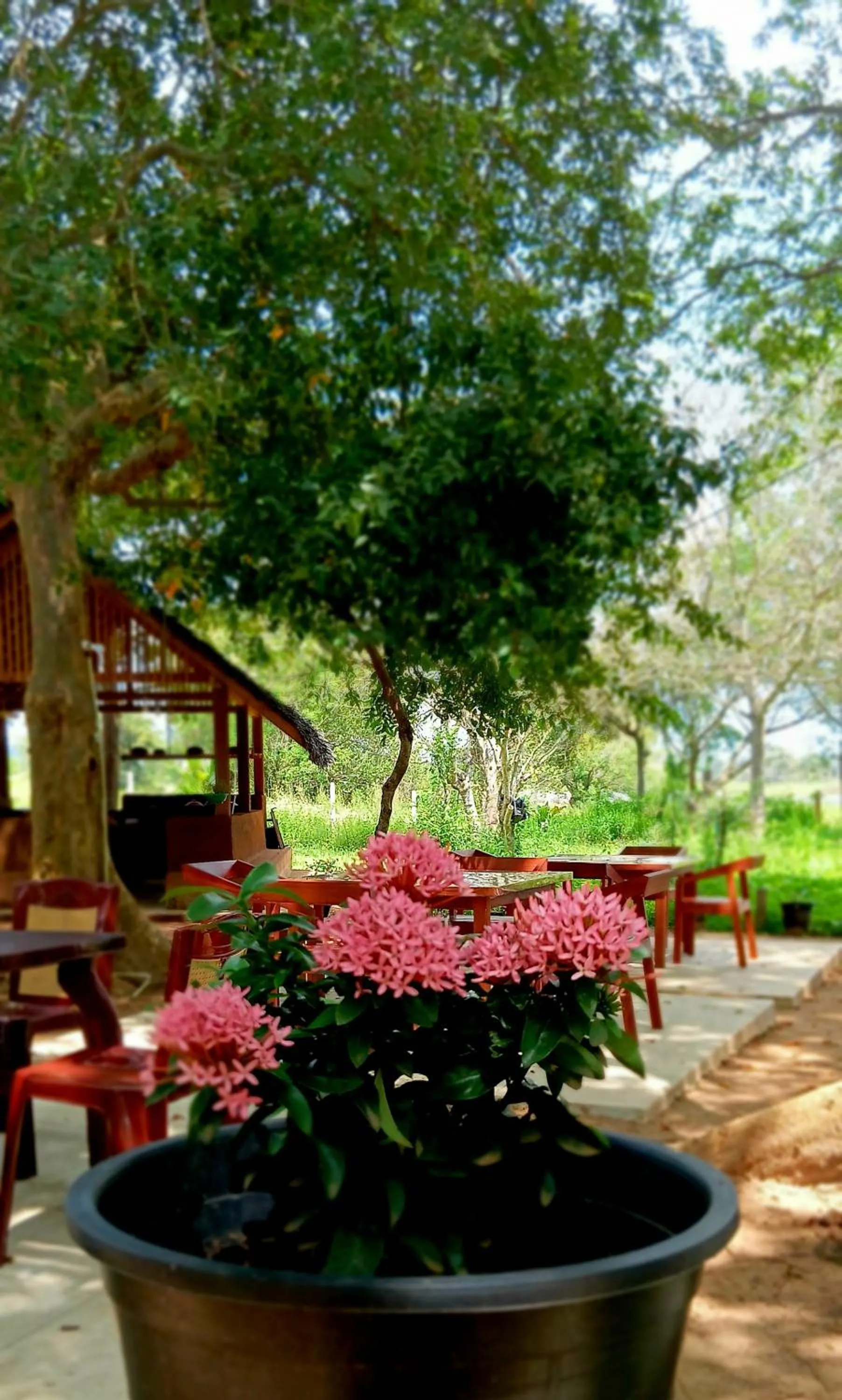 Lake Front Cottage & Authentic Local Restaurant