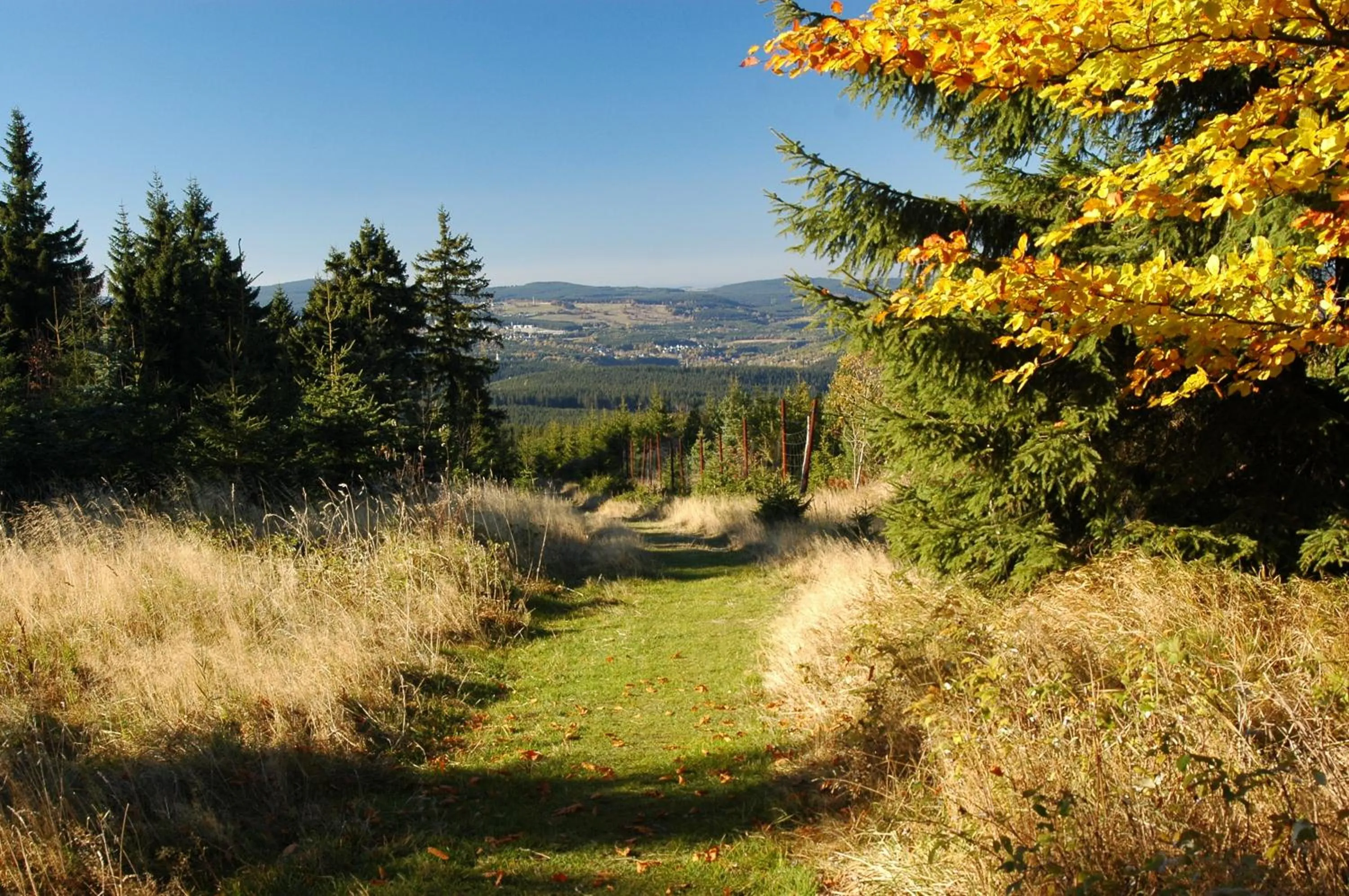 Off site in Horský Hotel Arnica