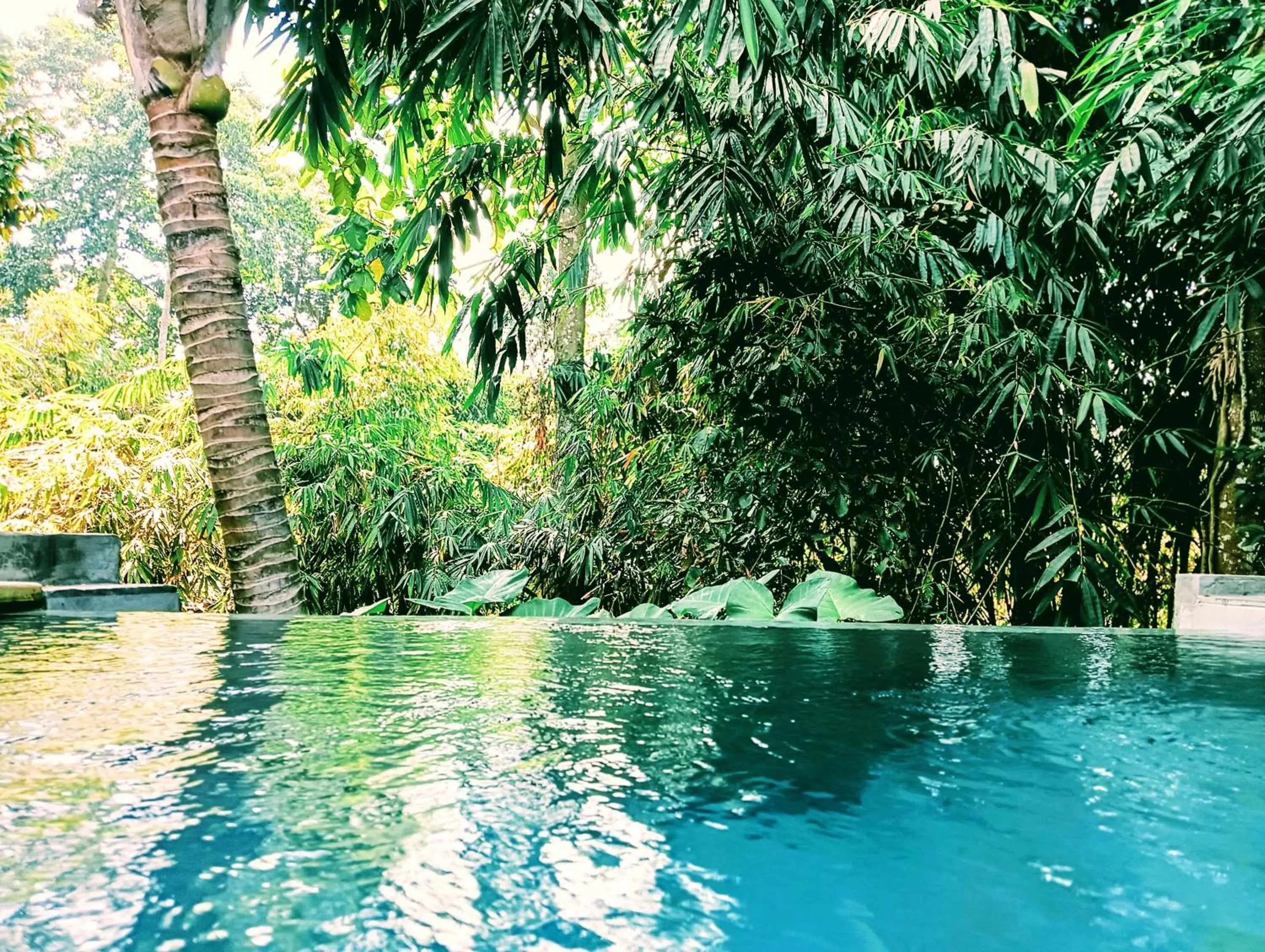 Natural landscape in Ngesil Private Joglo & Pool