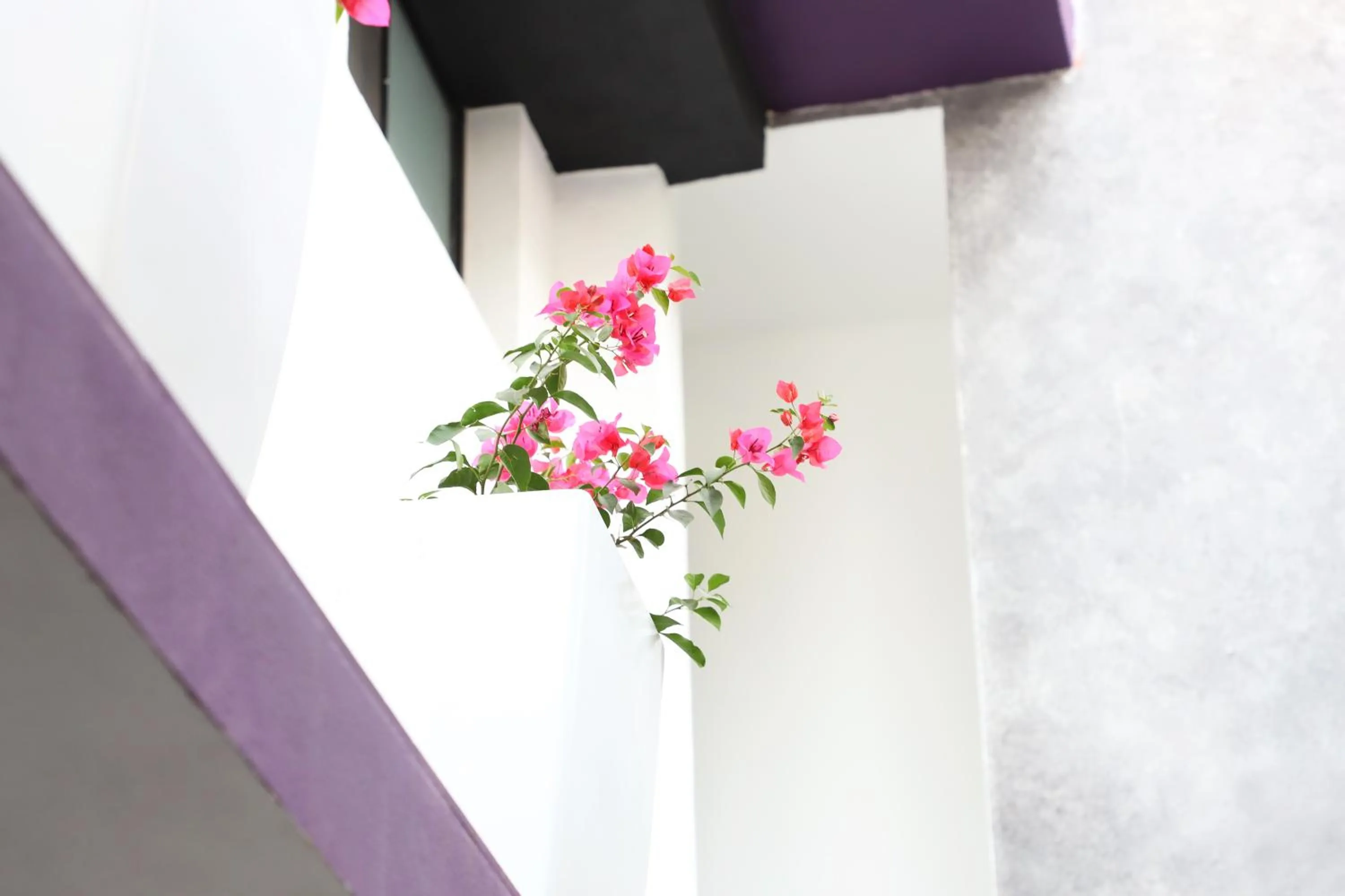 Decorative detail in Hotel Tepeyac 402 León Calzada