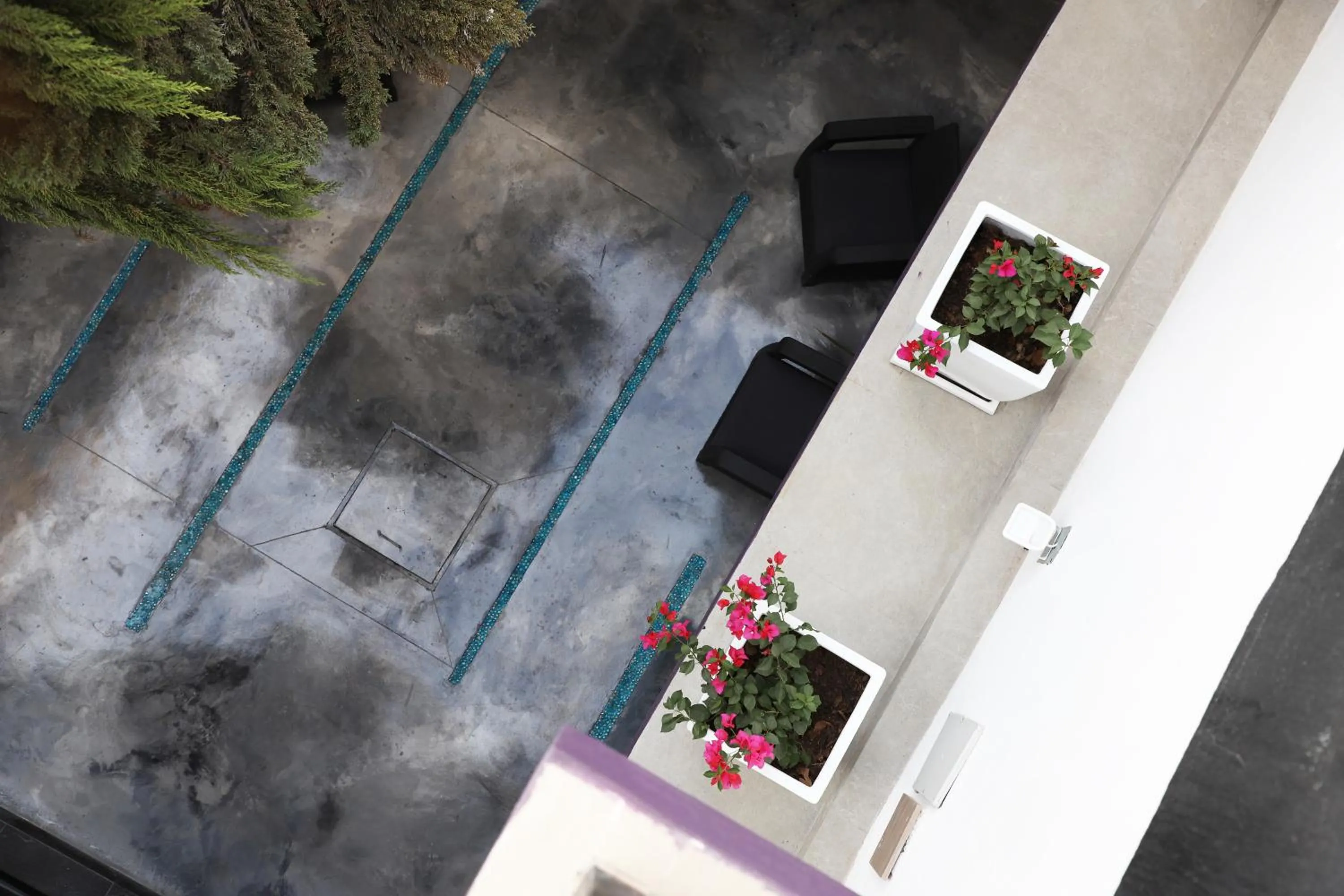 Patio in Hotel Tepeyac 402 León Calzada