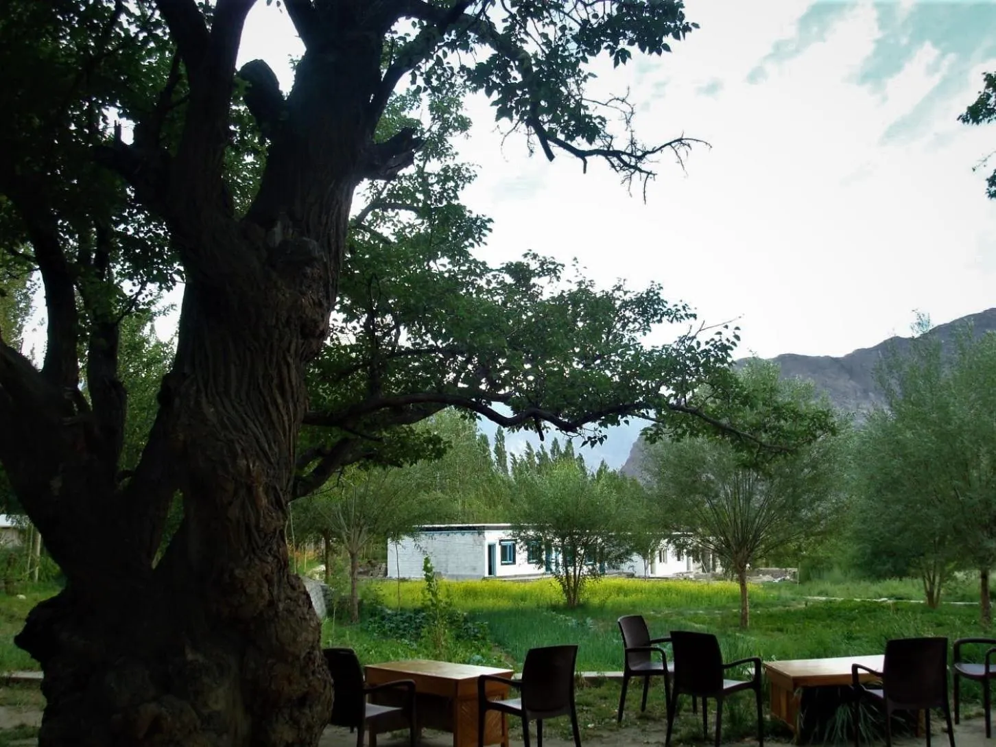 Garden in Lharimo Hotel Leh - Ladakh