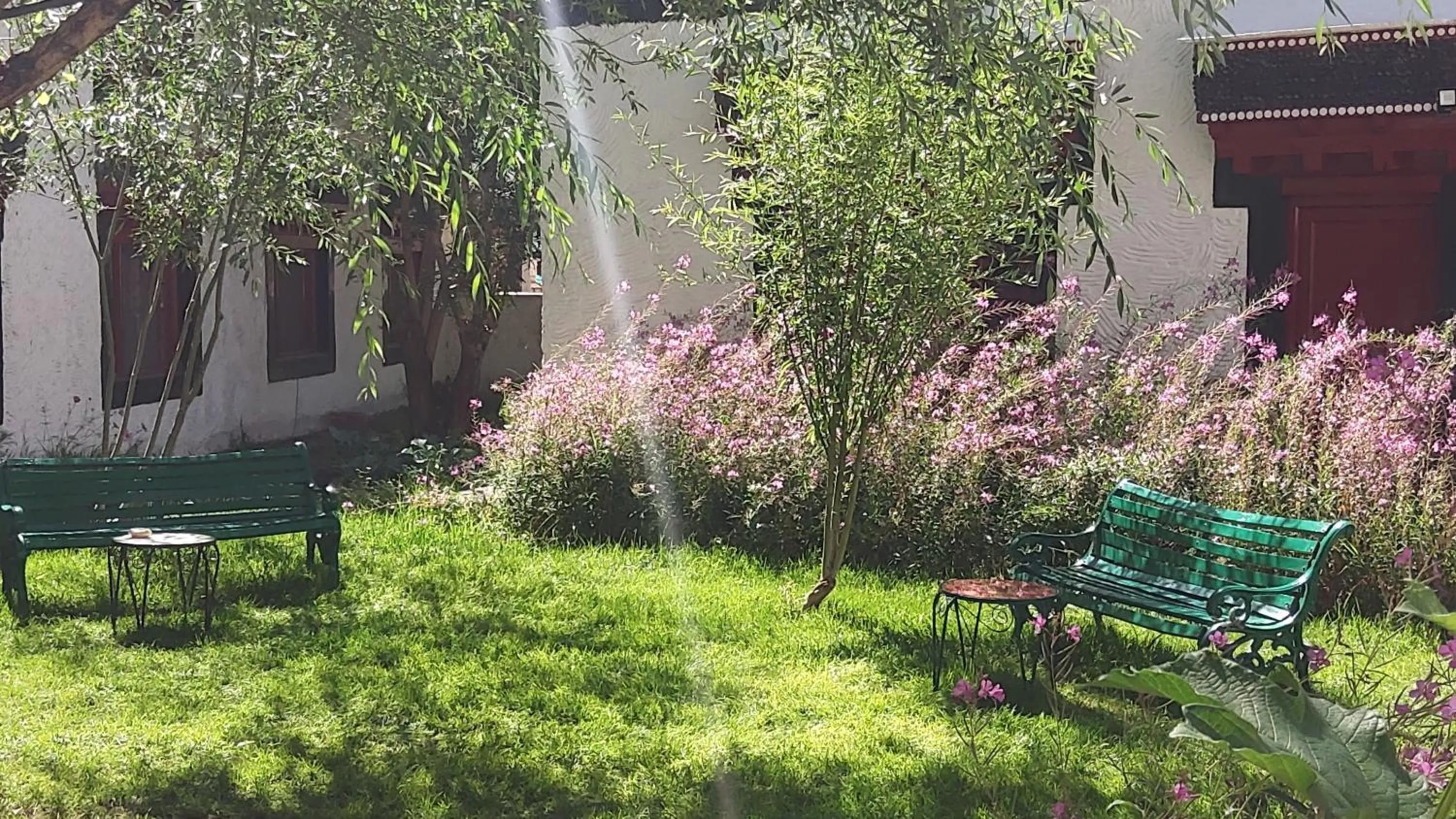 Garden in Lharimo Hotel Leh - Ladakh