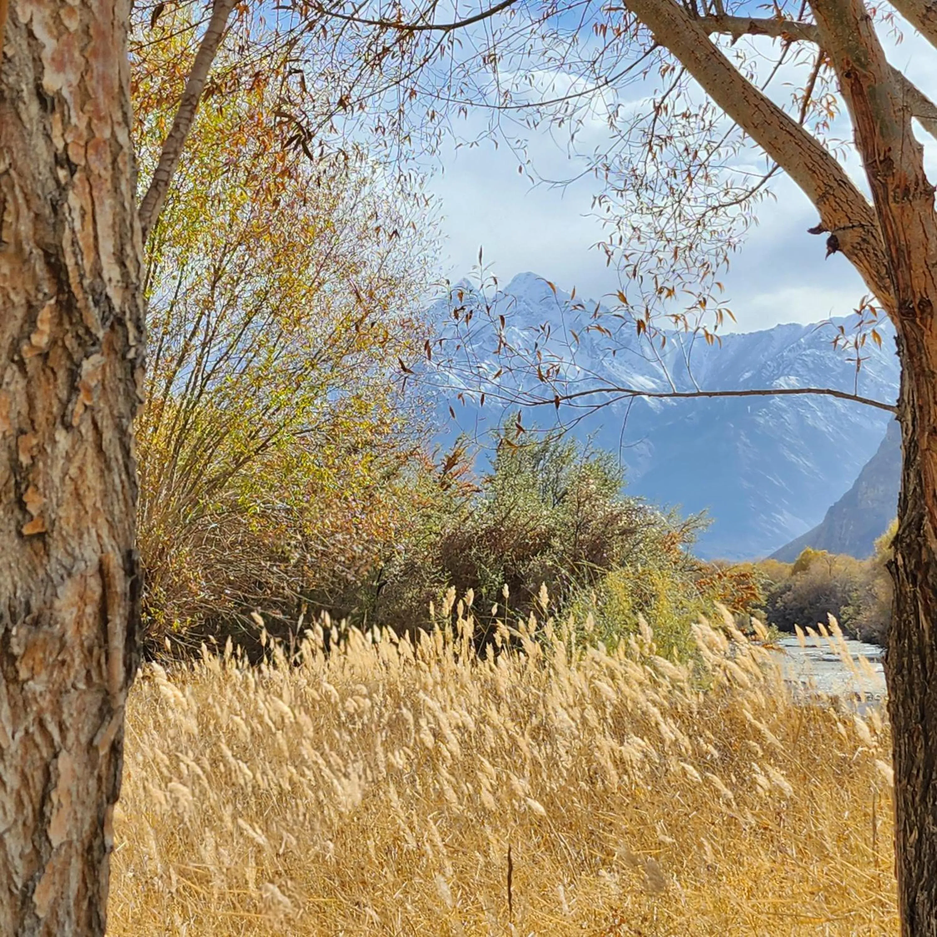 Nearby landmark in Lharimo Hotel Leh - Ladakh