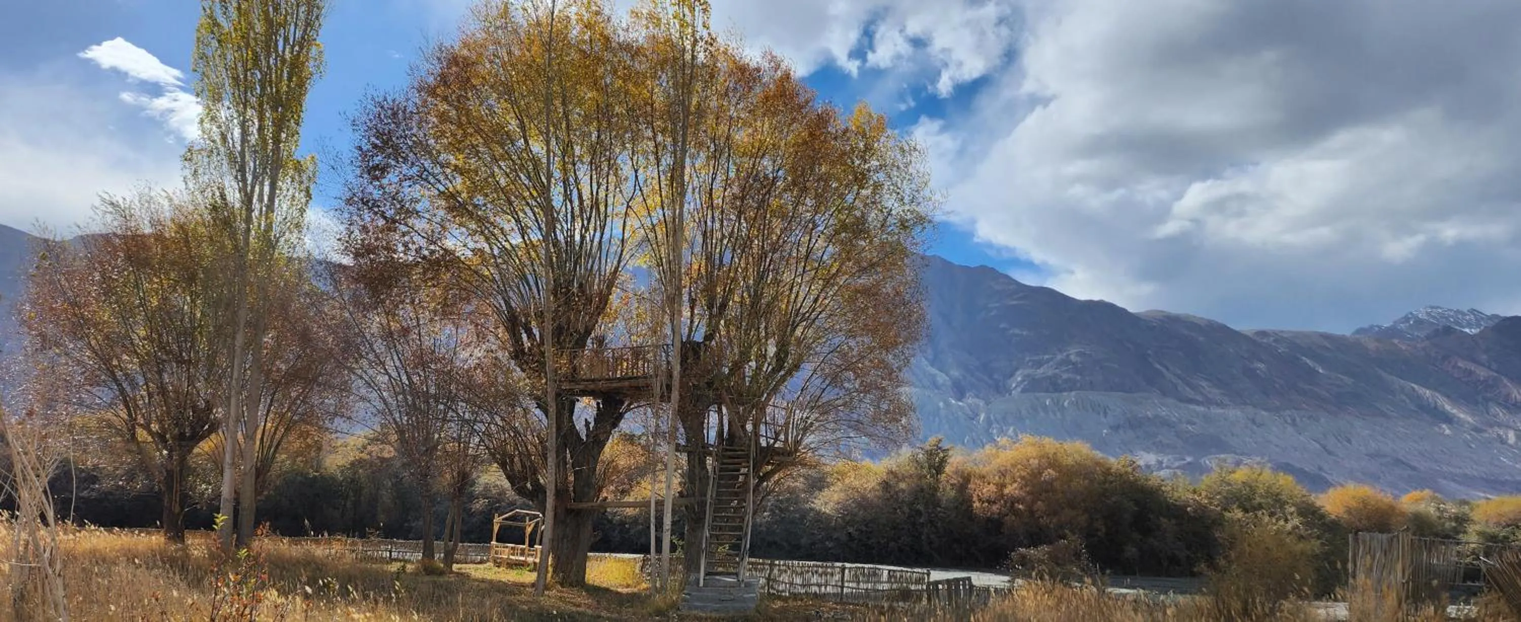 Nearby landmark in Lharimo Hotel Leh - Ladakh