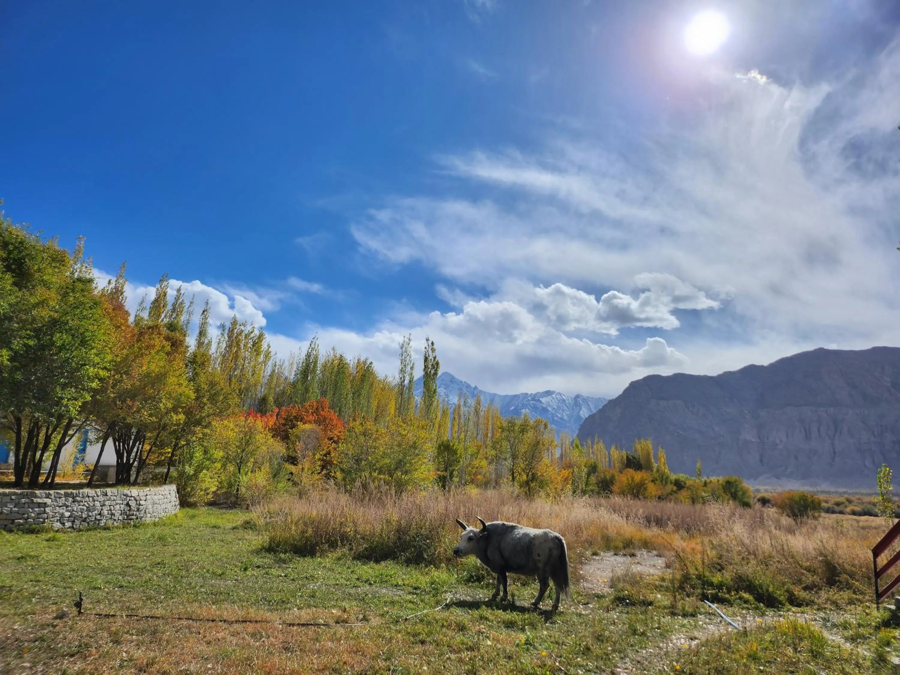 Natural landscape in Lharimo Hotel Leh - Ladakh